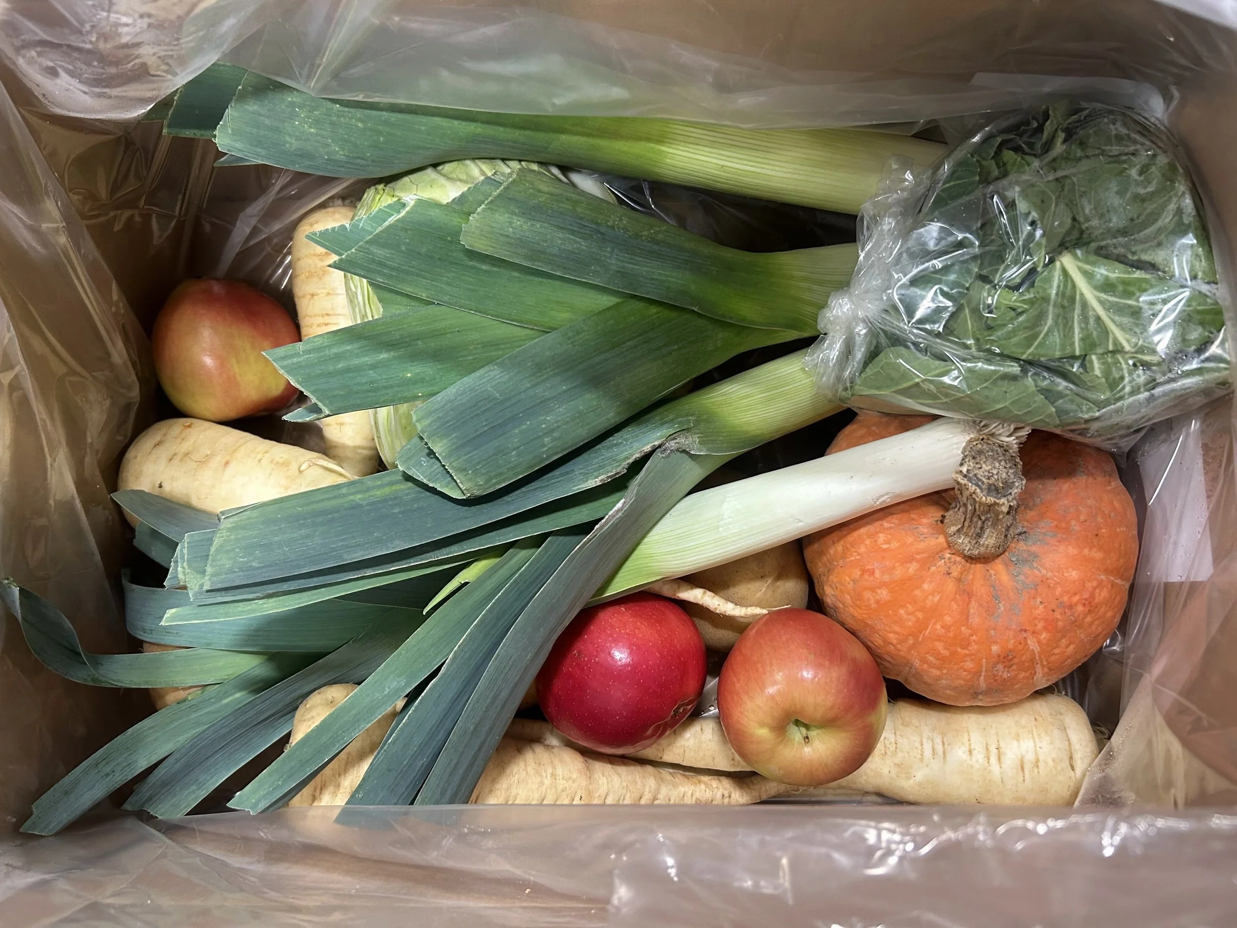 A Plan to Feed Skagitonians