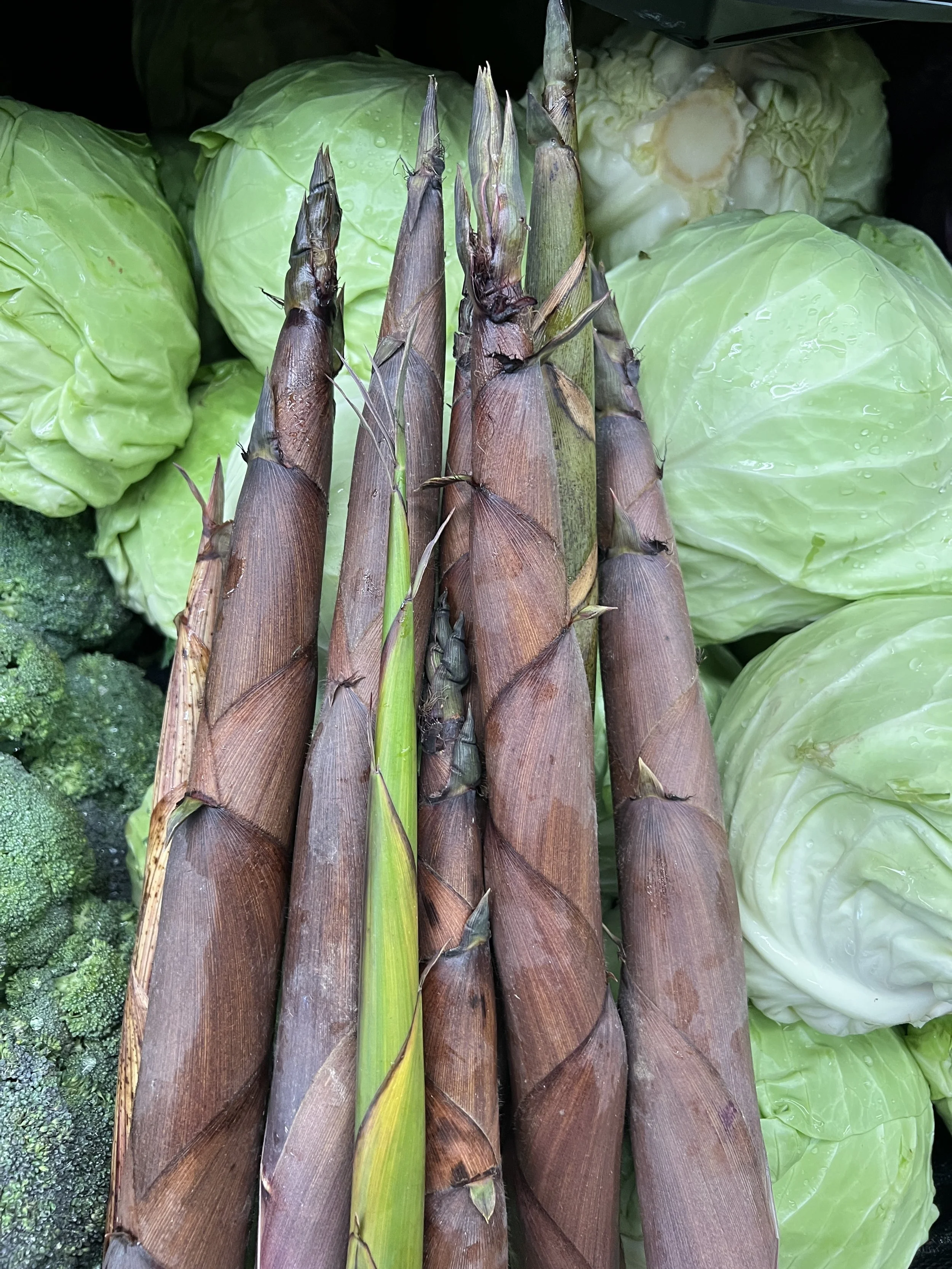 10 Recipes To Enjoy Fresh Bamboo Shoots