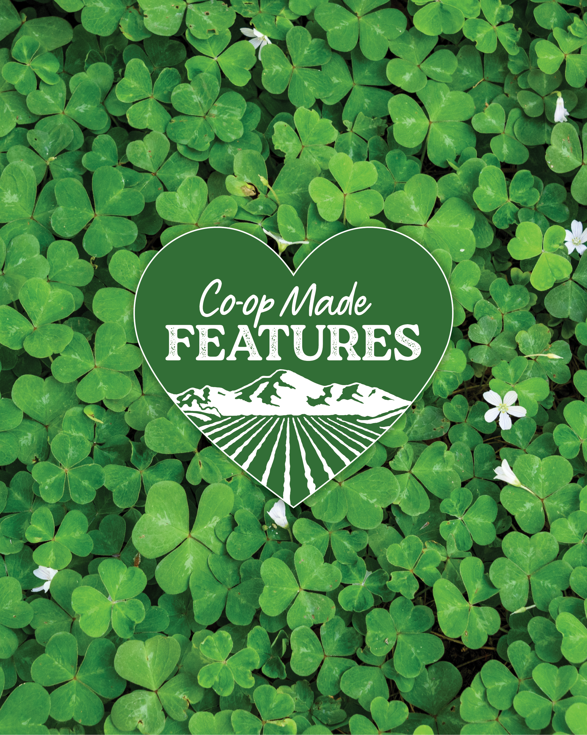 March Co-op Made Features