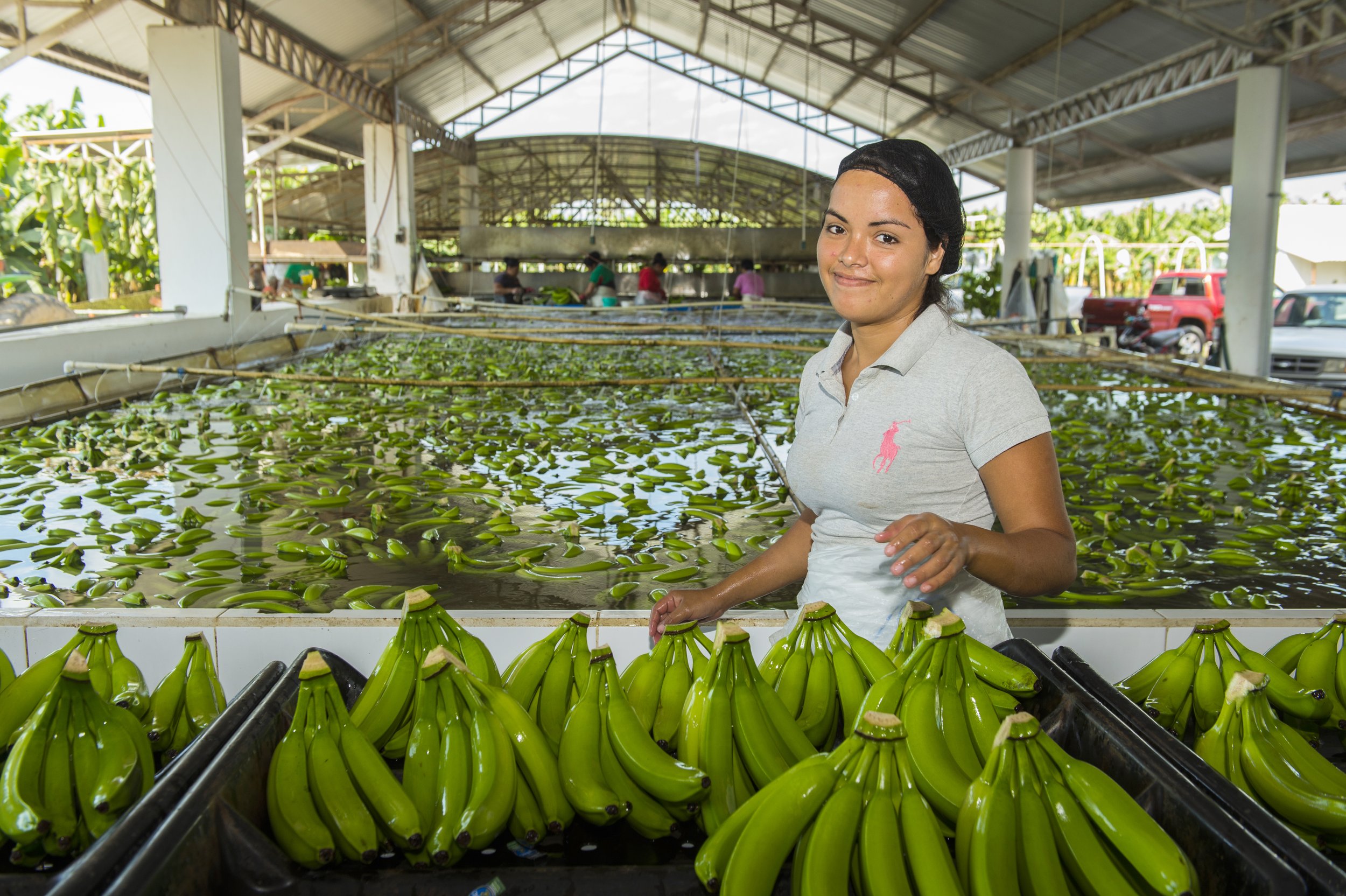 Go Bananas for G.R.O.W. Bananas!