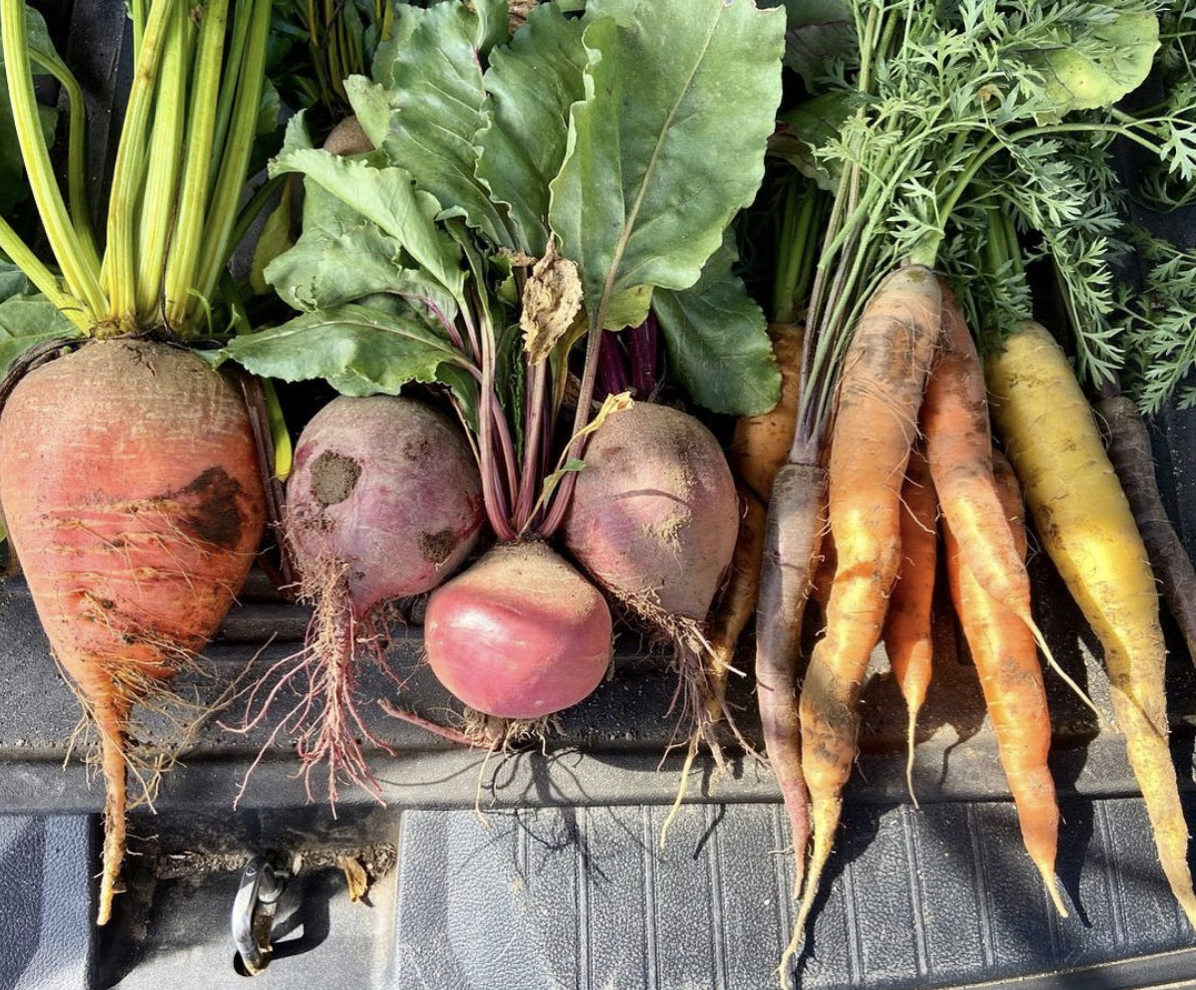 Strengthening Our Deli Through Locally Sourced Produce