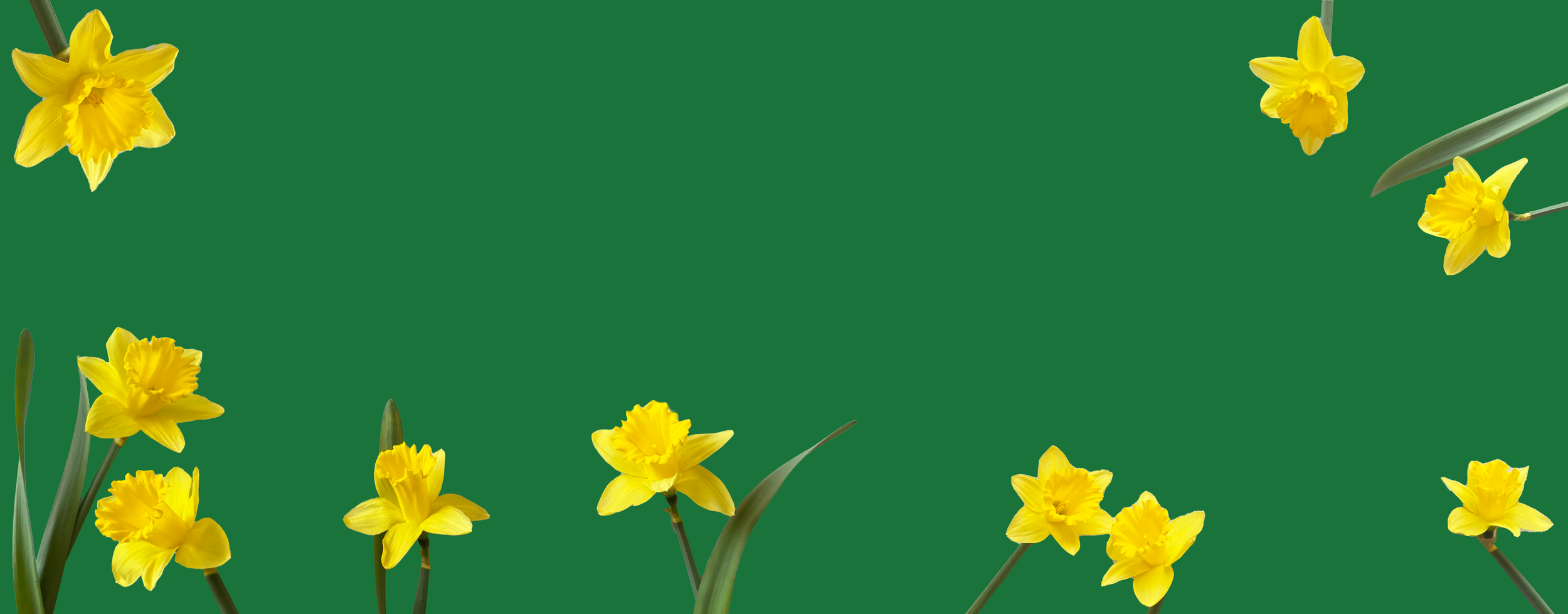 Members Save on Wellness Faves!