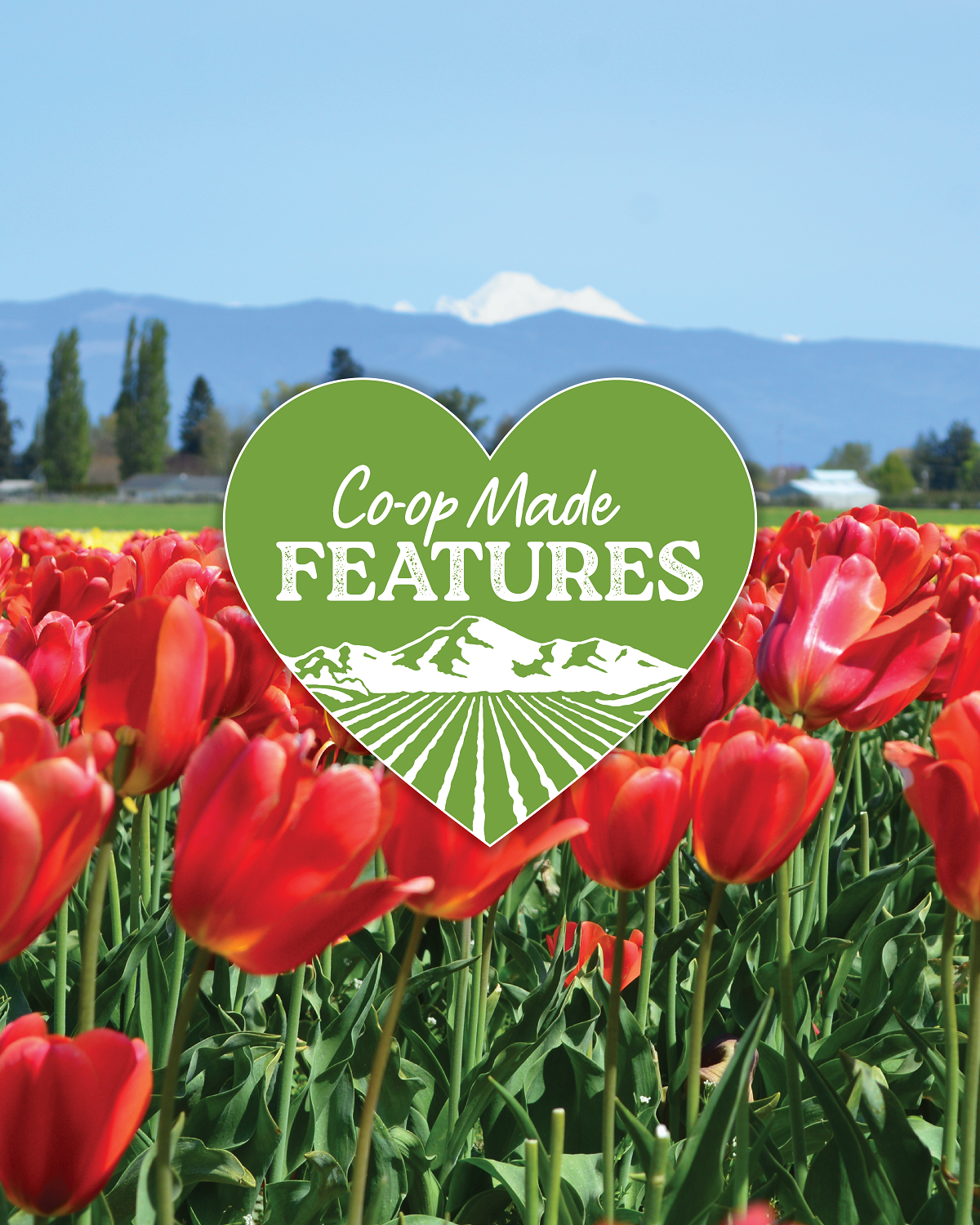 April Co-op Made Features