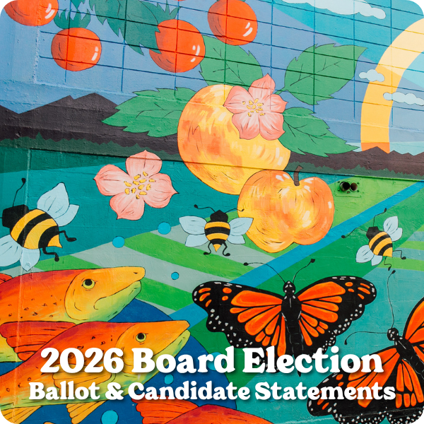 co-op mural with text overlay "2026 Board election ballot and candidate statements"