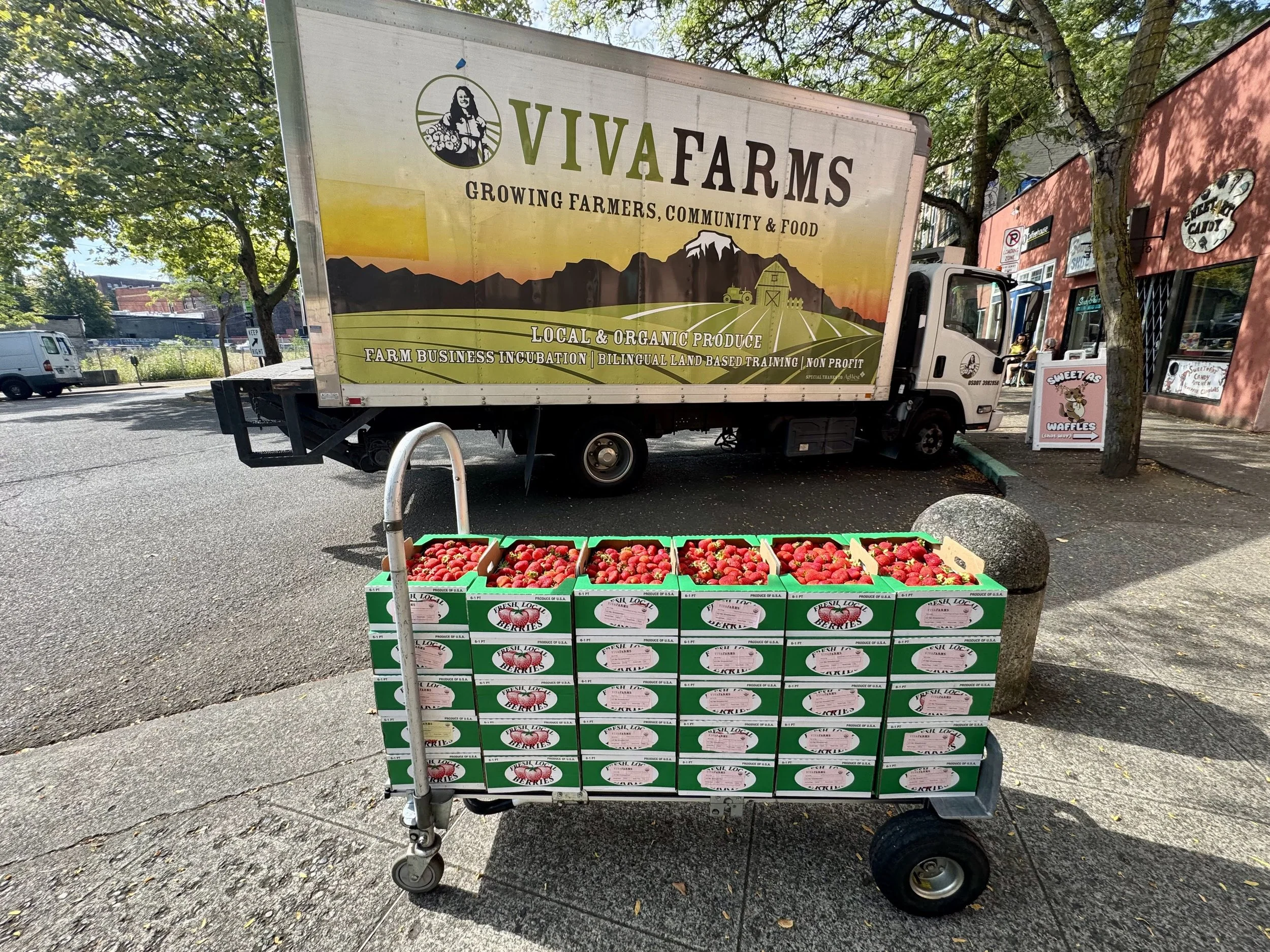 Viva Farms Update: Keeping It Cool