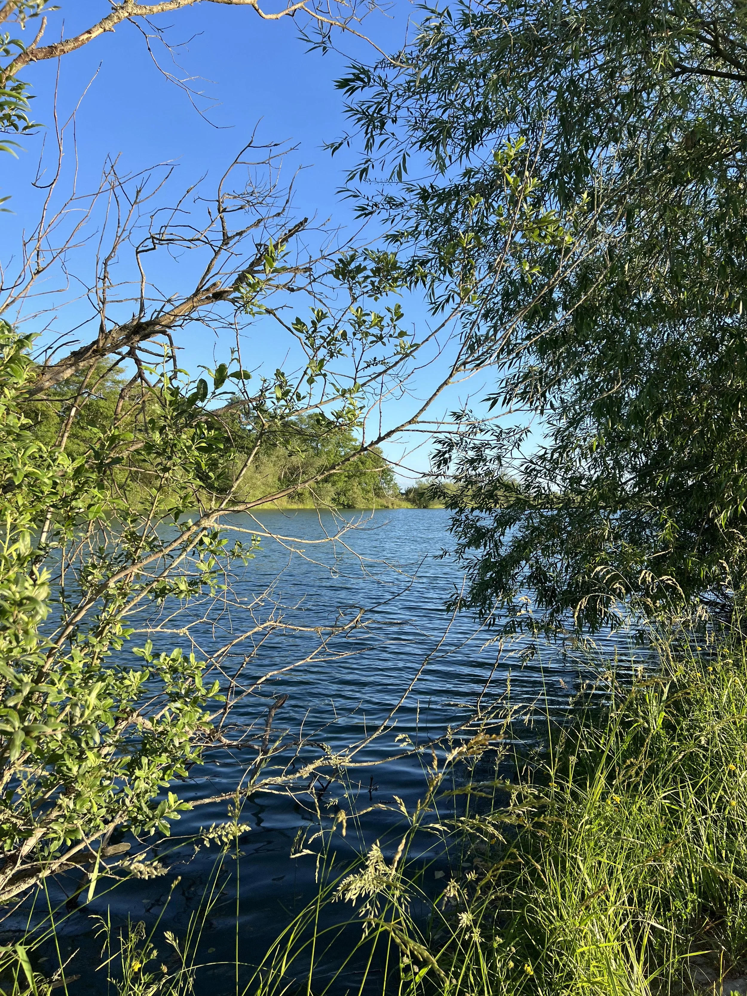 A Love Letter to the Skagit