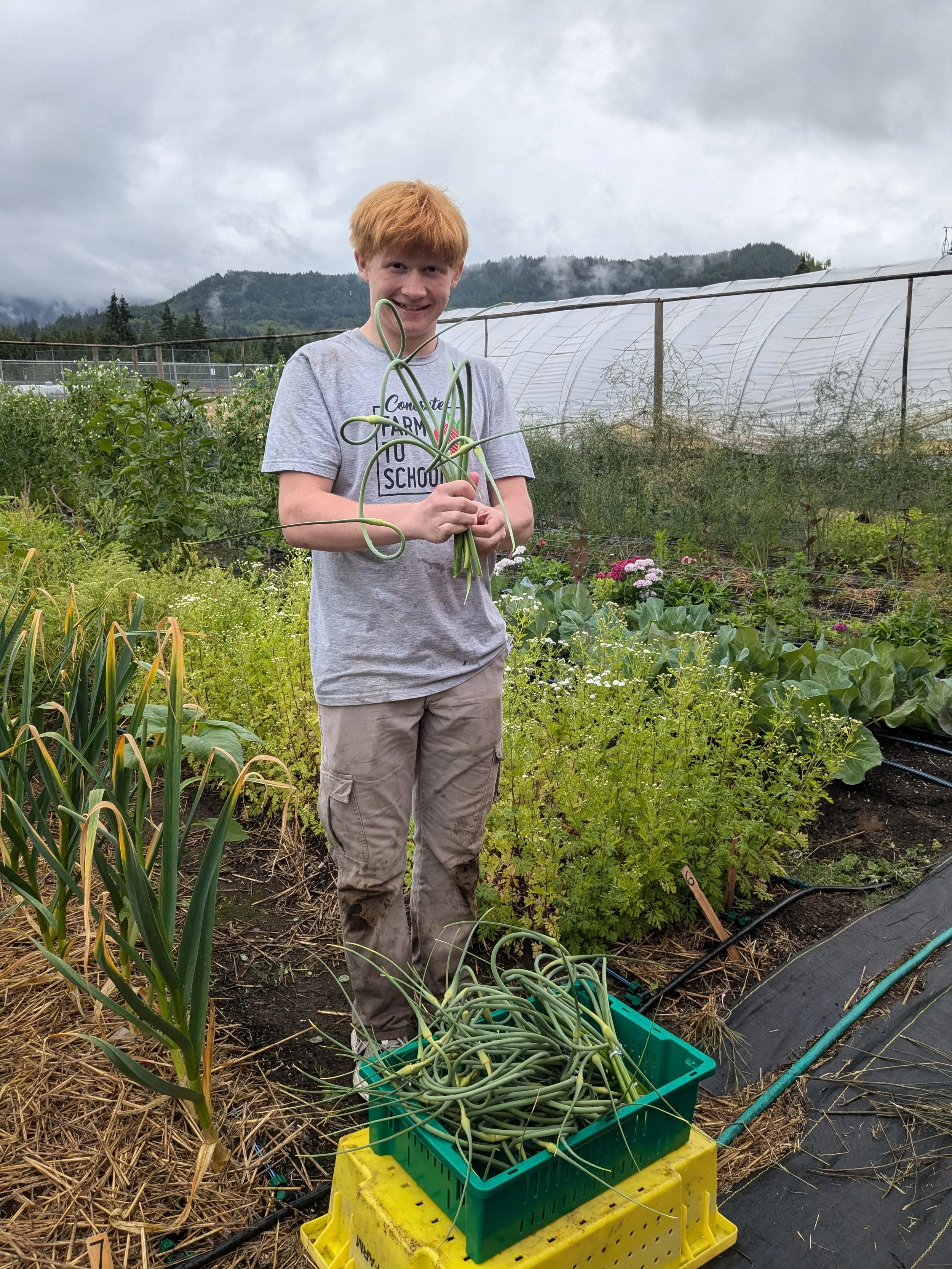 Concrete Farm to School Report