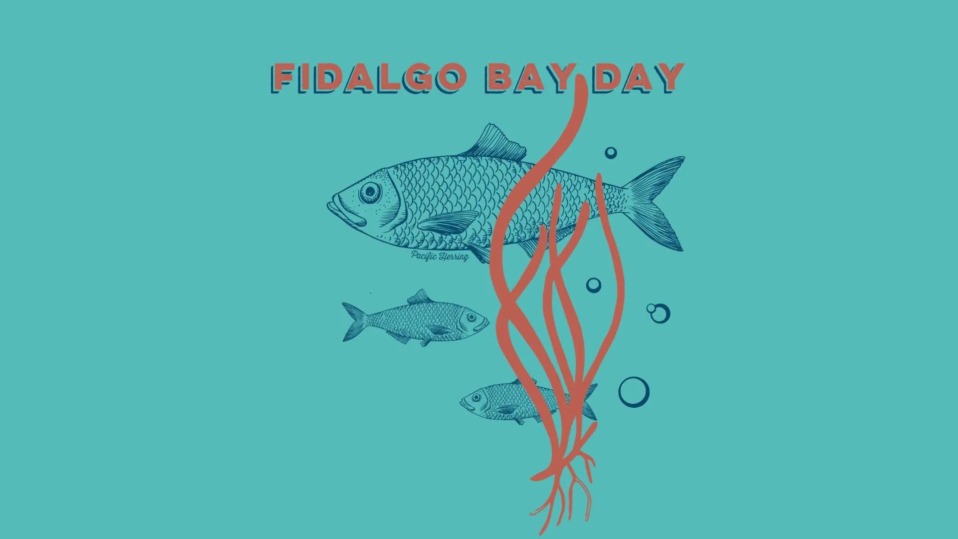 Fidalgo Bay Day