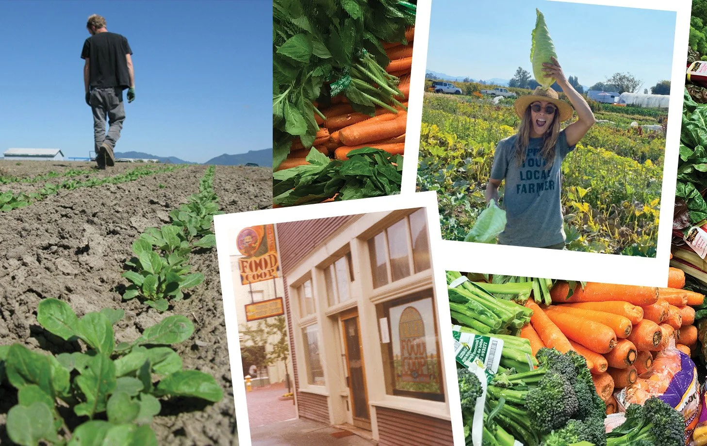 How Co-ops Helped Shape the Organics Movement