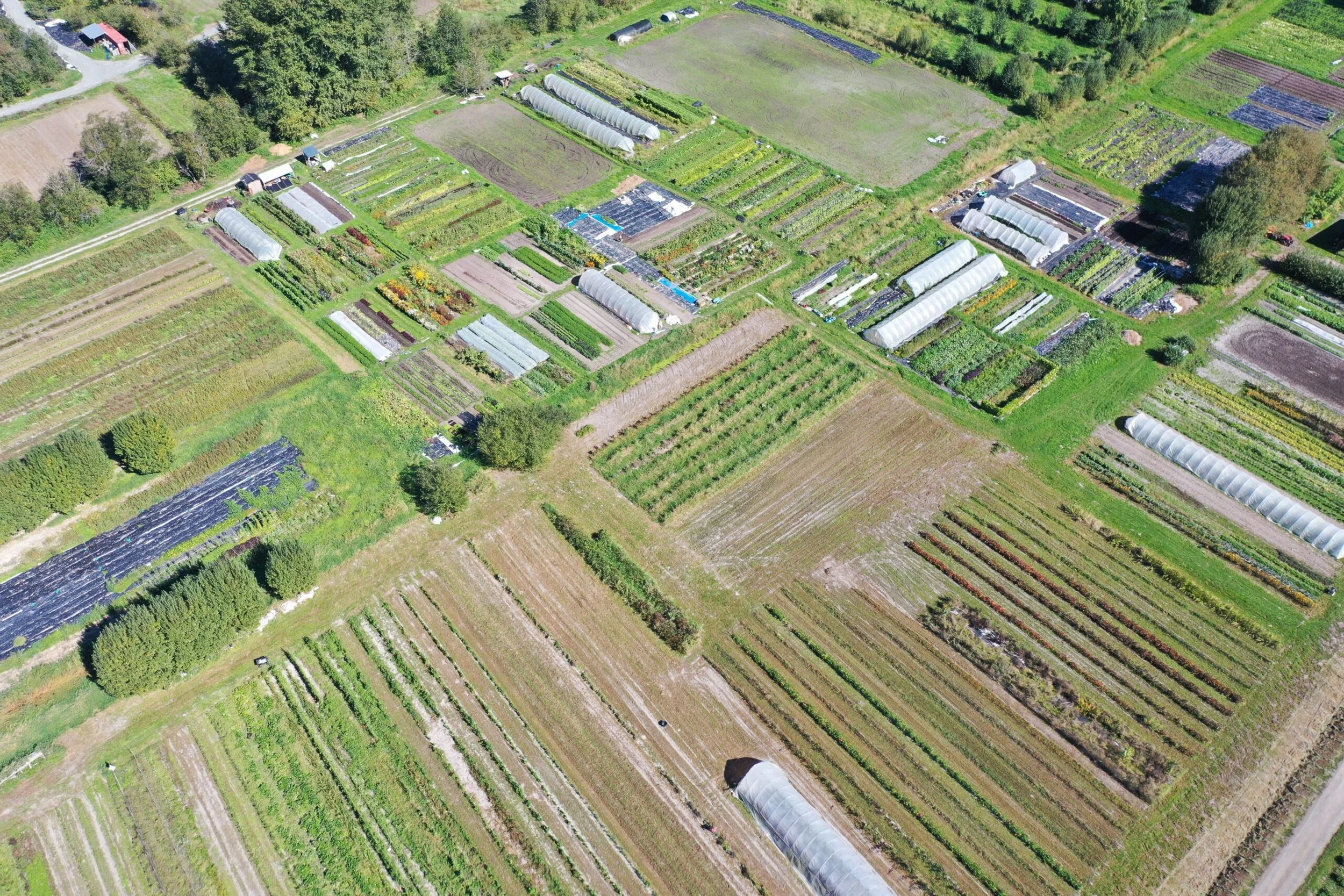100 Humans &amp; More Land Than Ever: Viva Farms Updates
