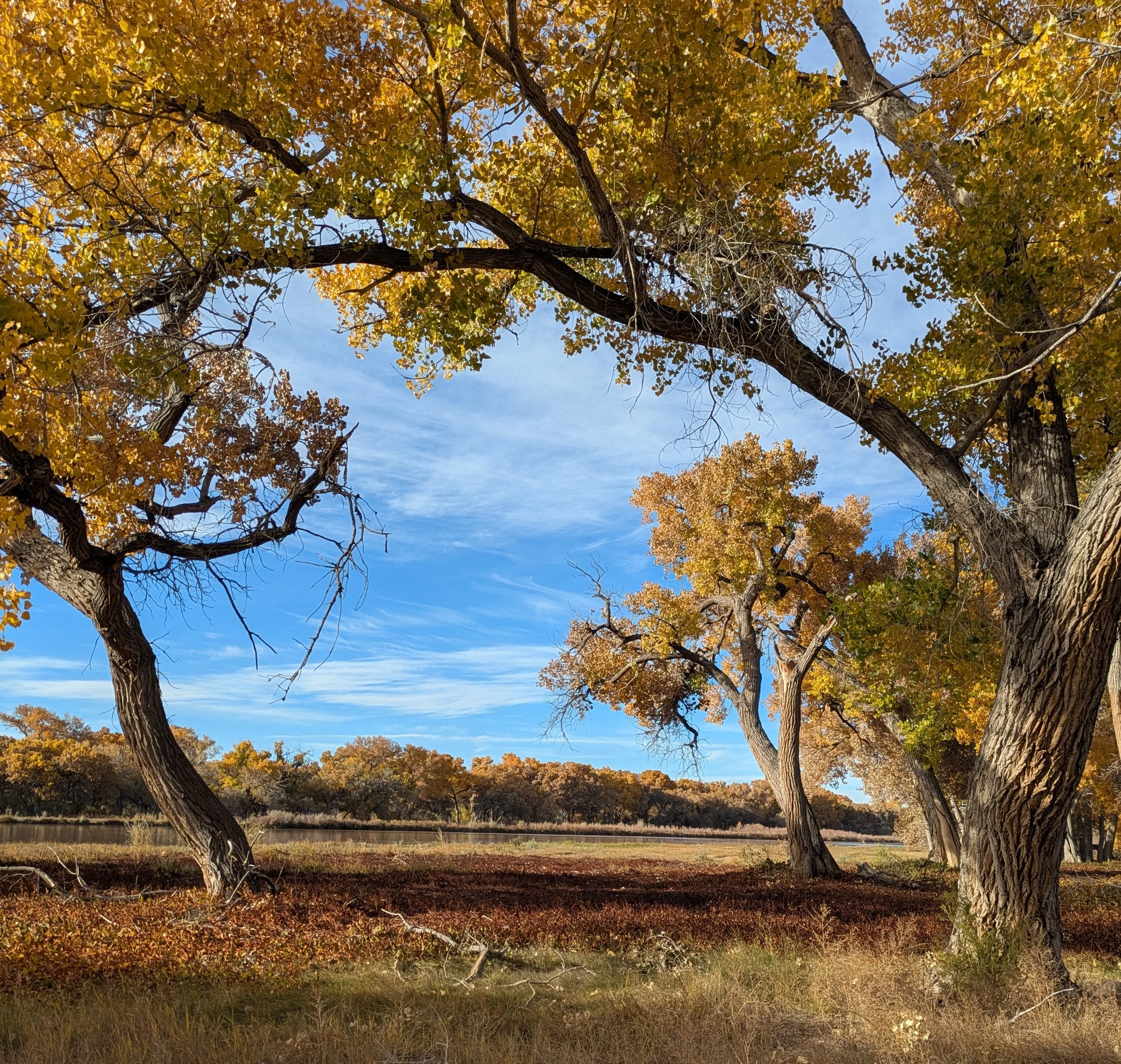 Northwest, Southwest