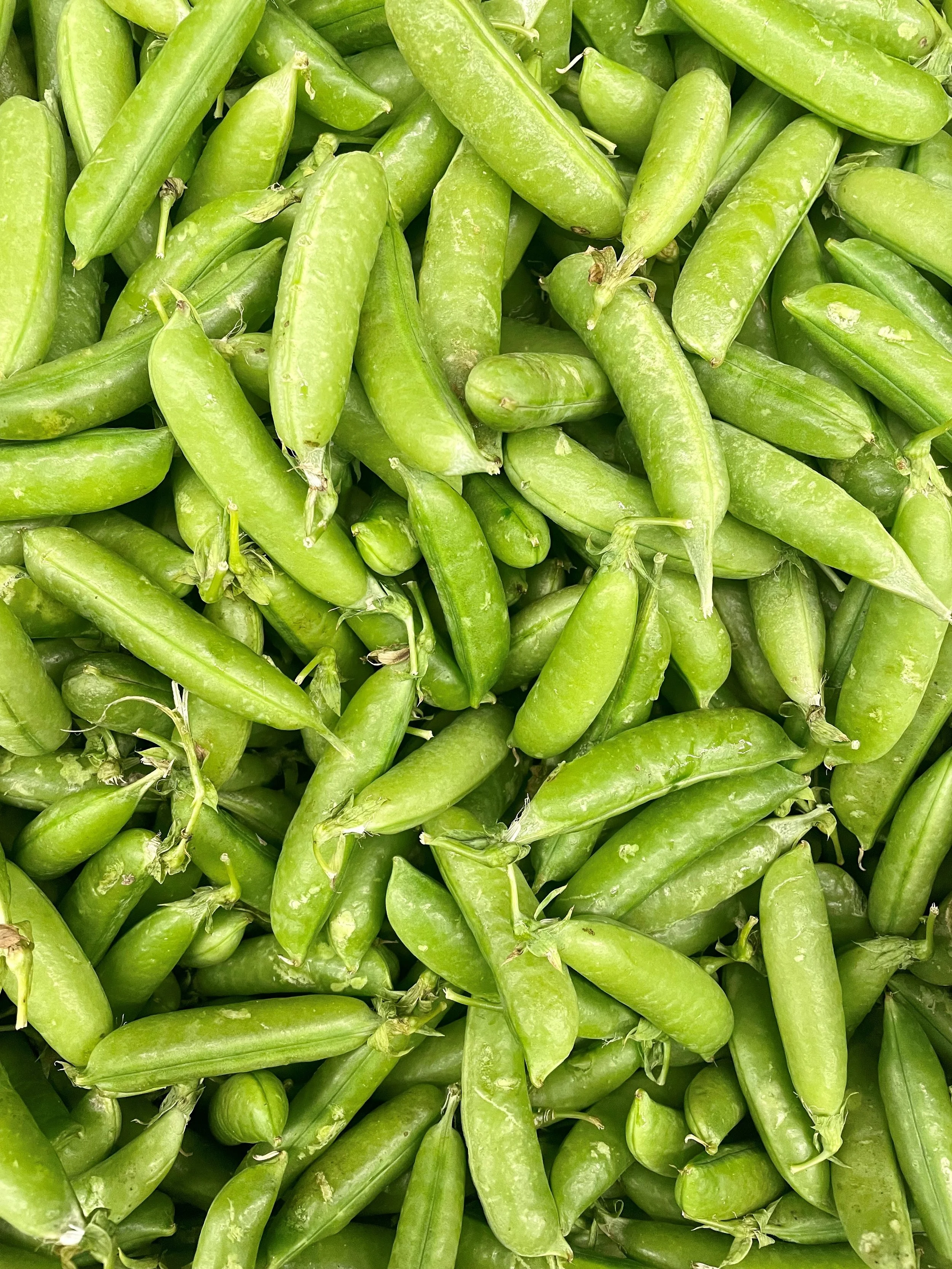 10+ Sweet &amp; Snappy Ways to Use Sugar Snap Peas