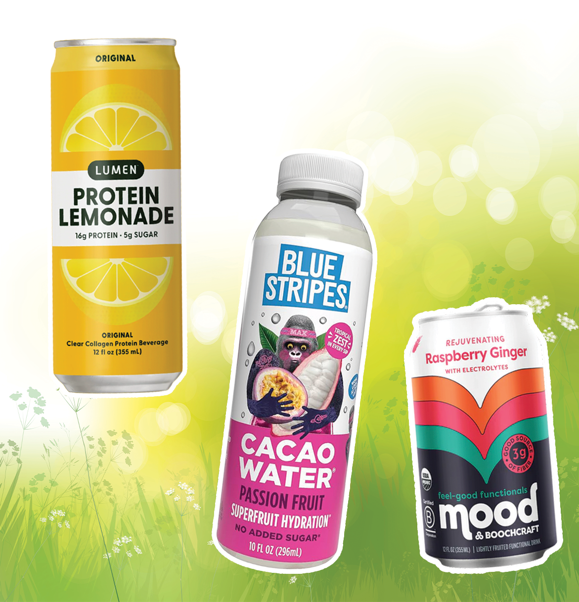 New + Notable: Spring 2026