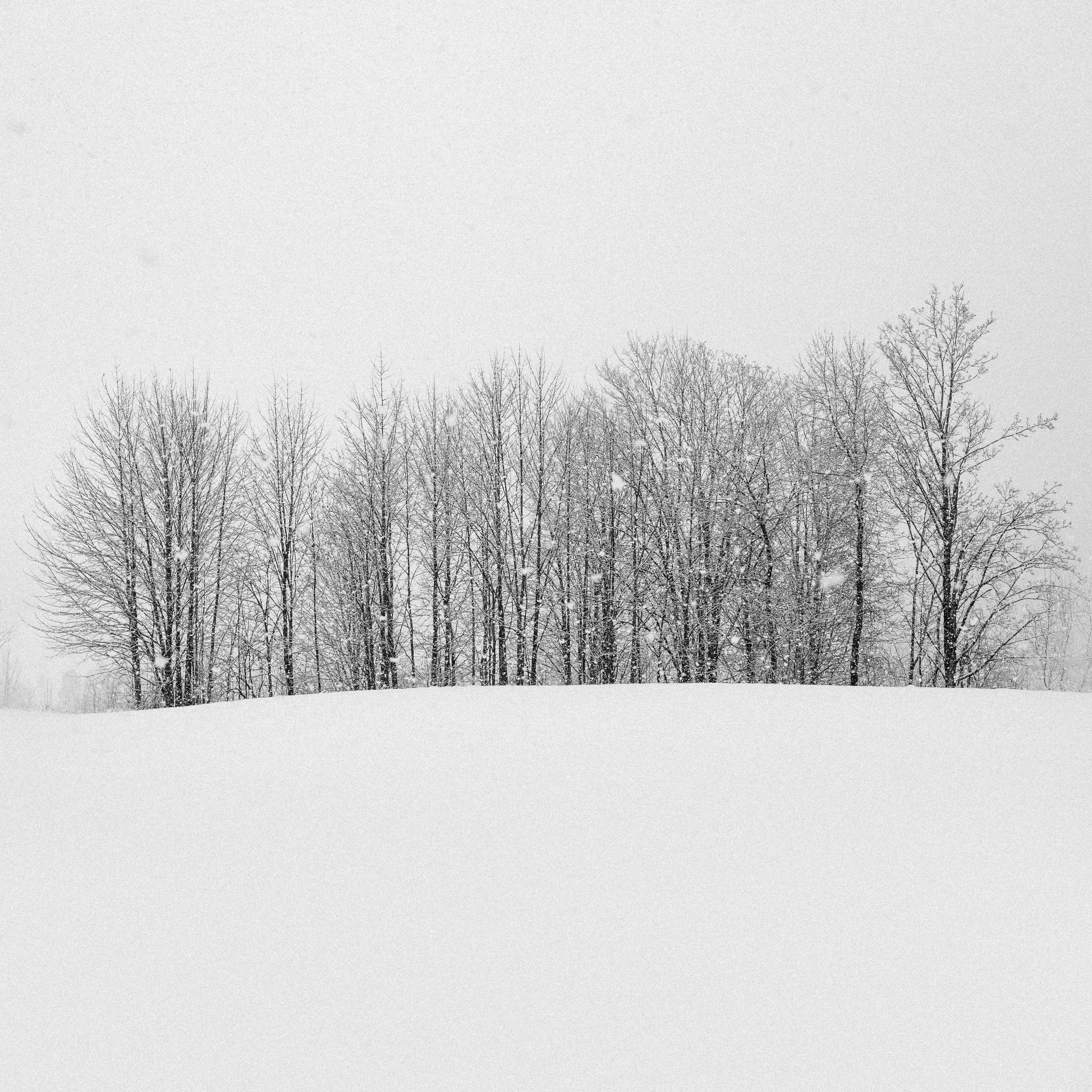 _DSC5063.jpg