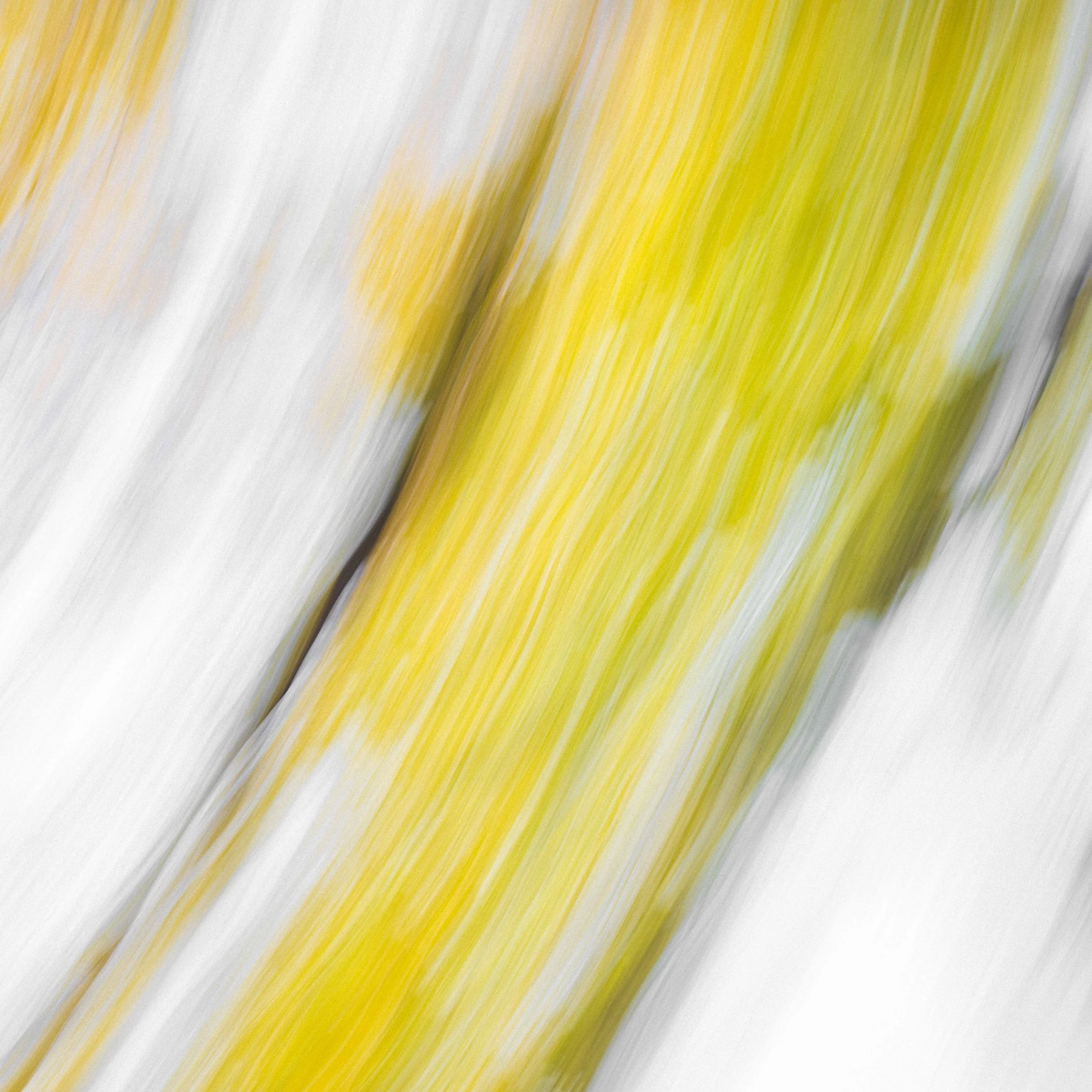 _DSC8136.jpg
