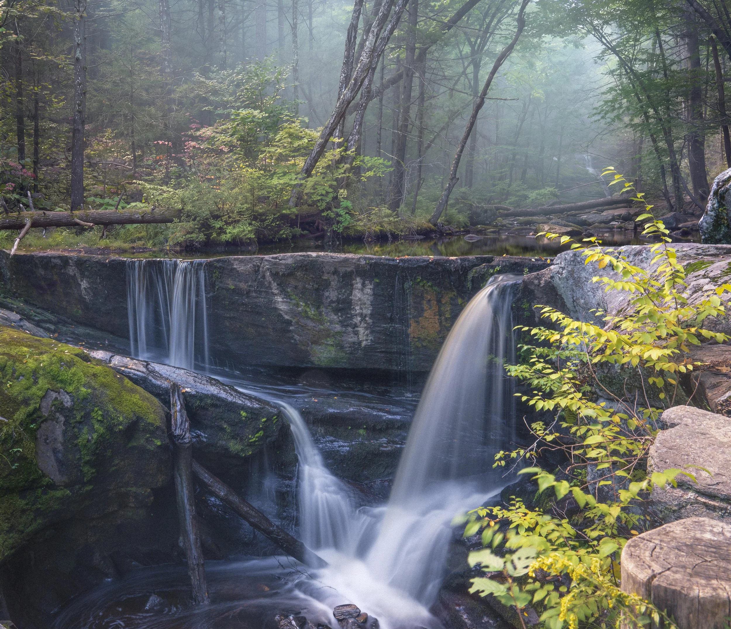 _DSC5384-Edit-3.jpg