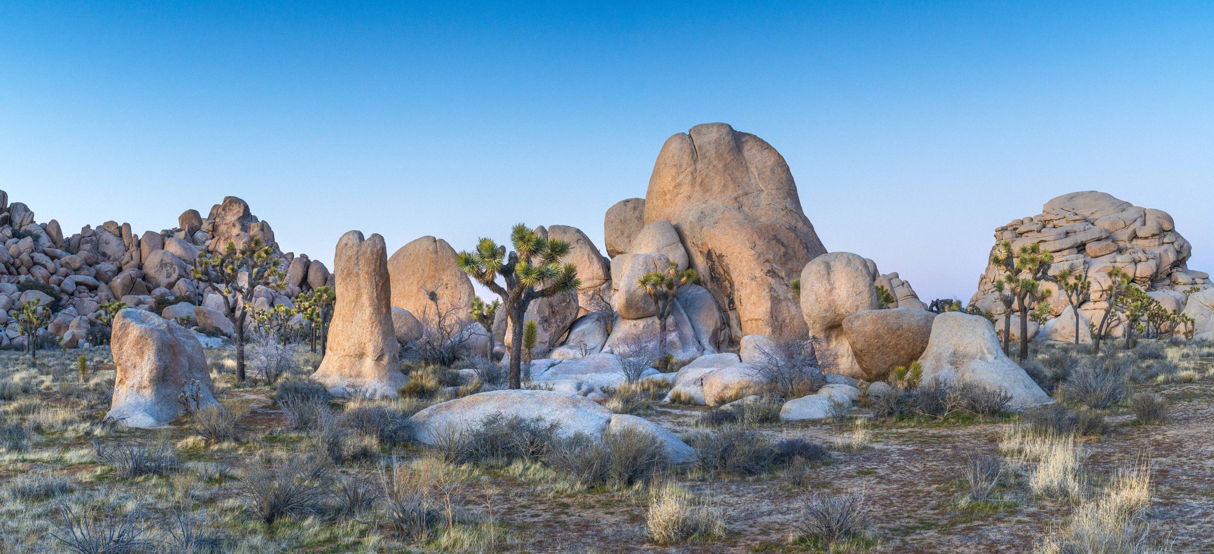 _DSC1460-Pano.jpg