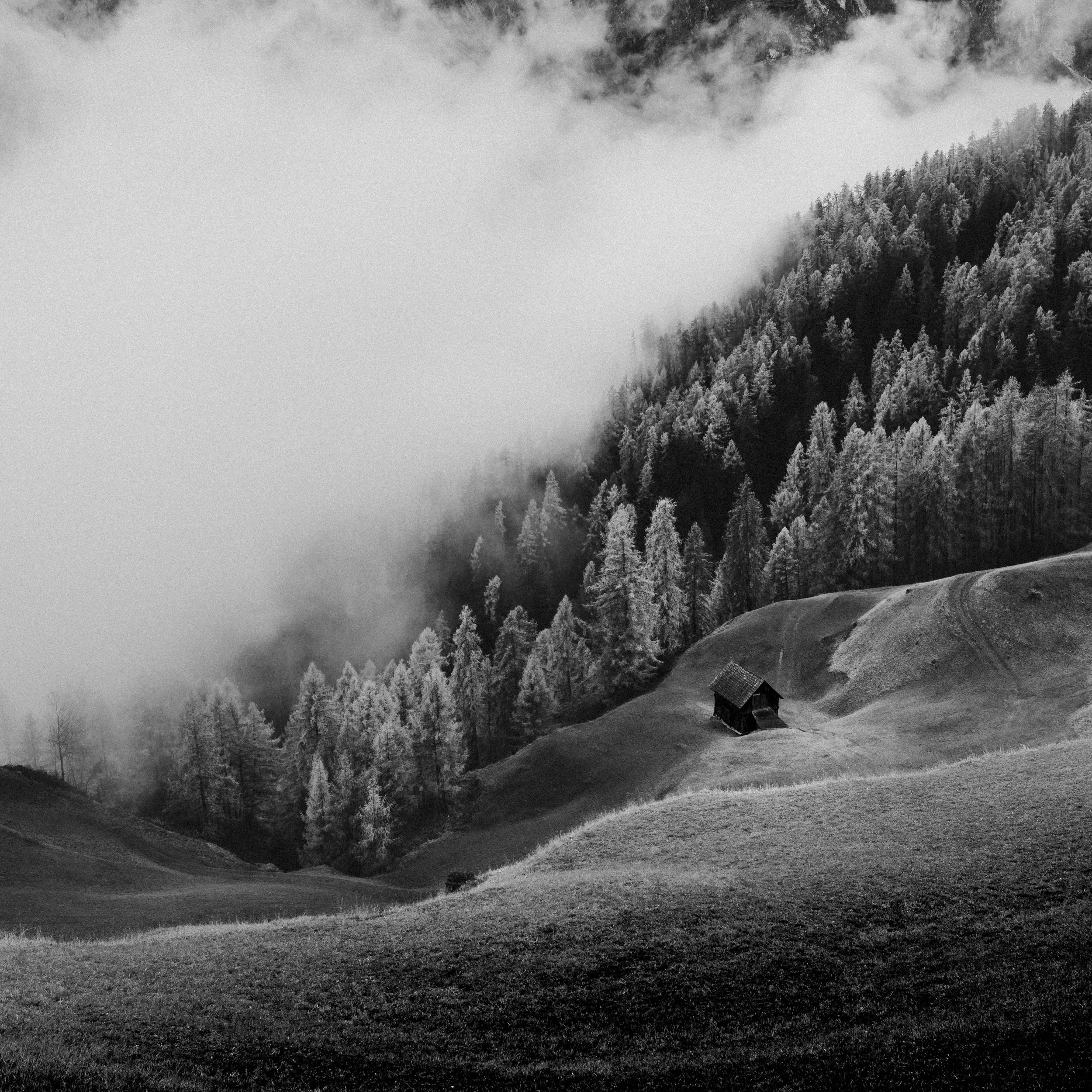 _DSC2436.jpg
