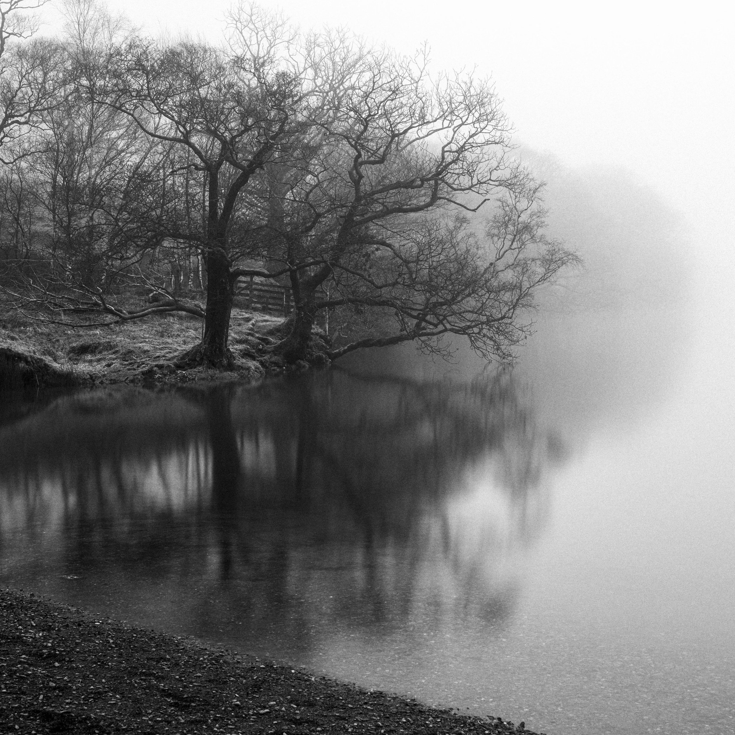 _DSC7766.jpg