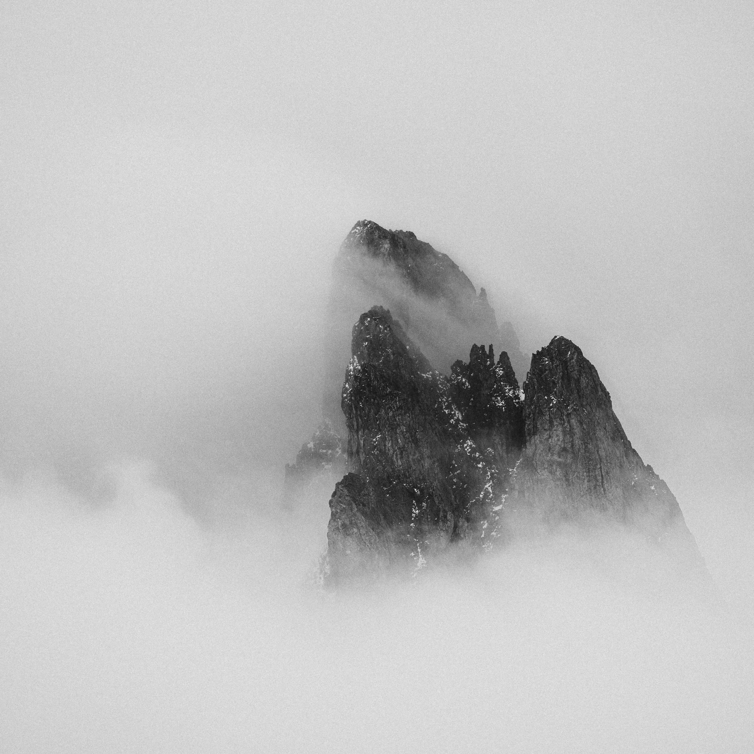 _DSC2155.jpg