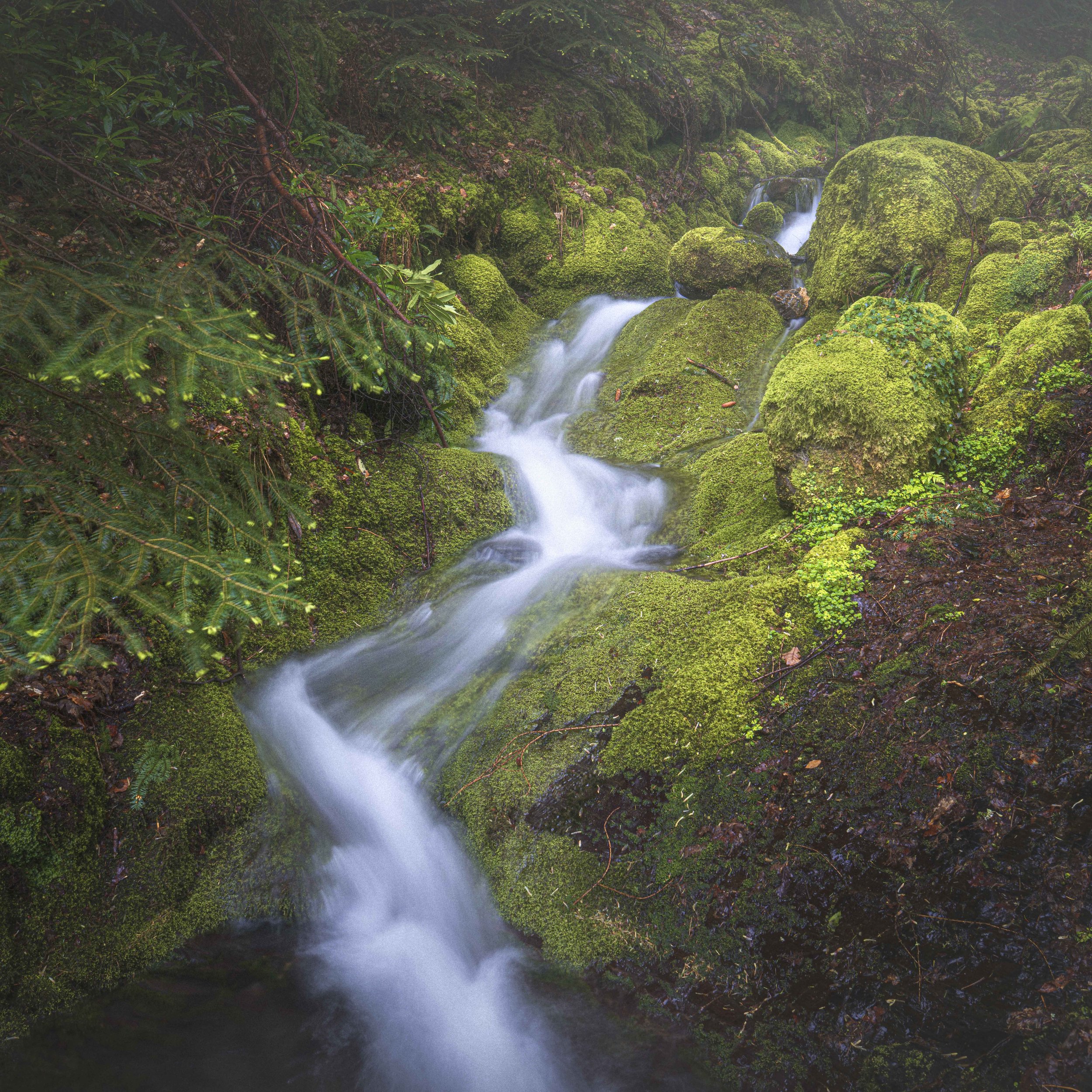 _DSC1910-Edit-3.jpg