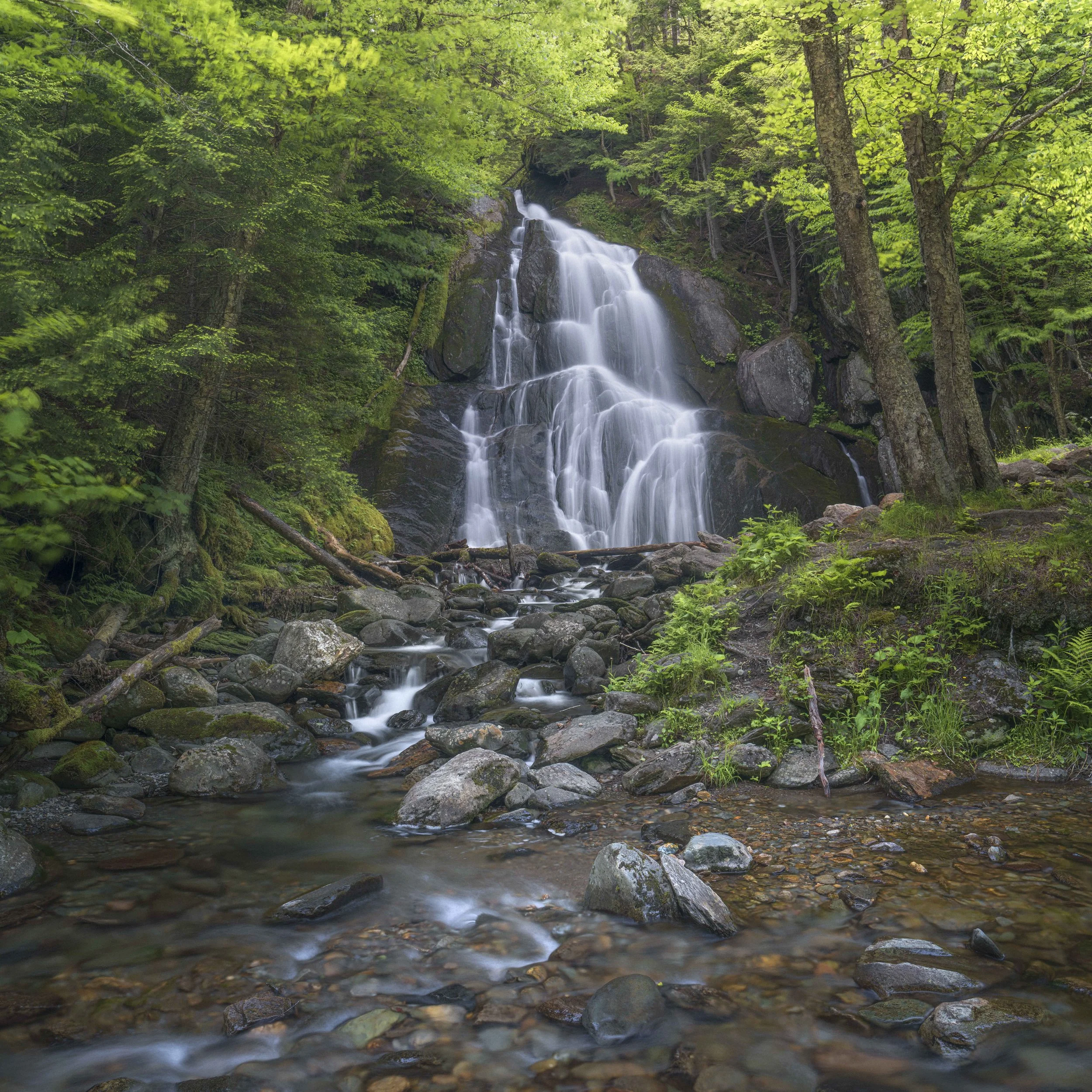 _DSC5570-Edit-2.jpg