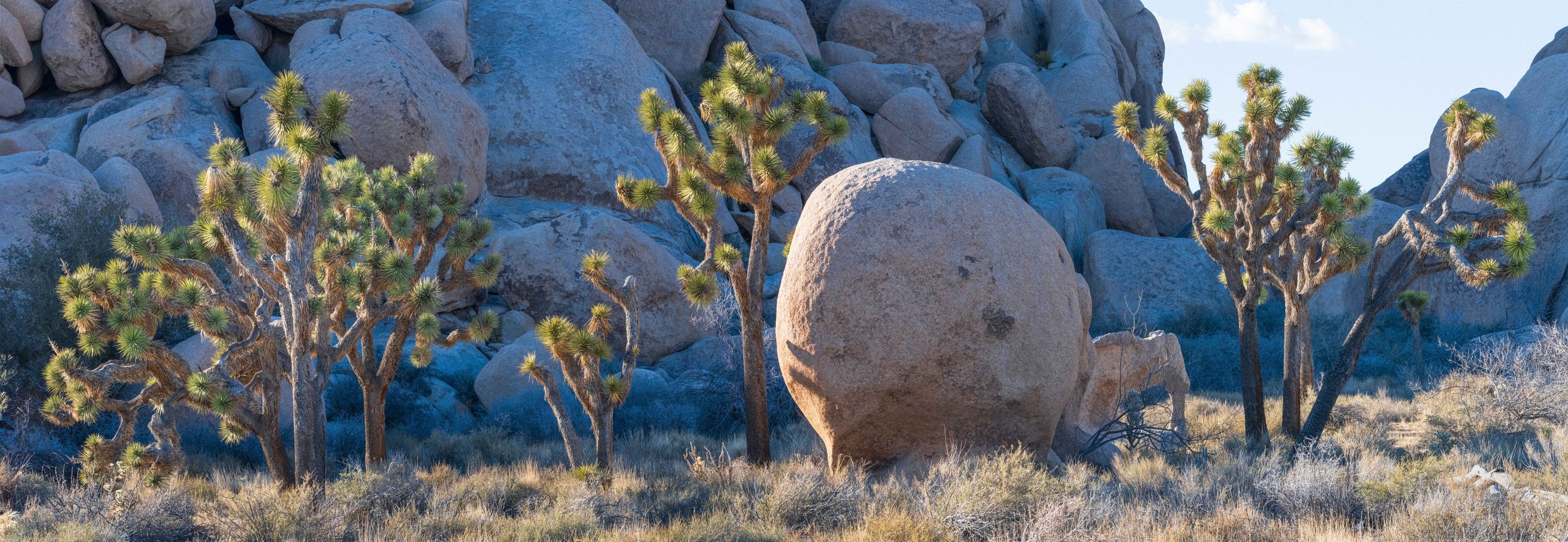 _DSC1443-Pano-Edit.jpg