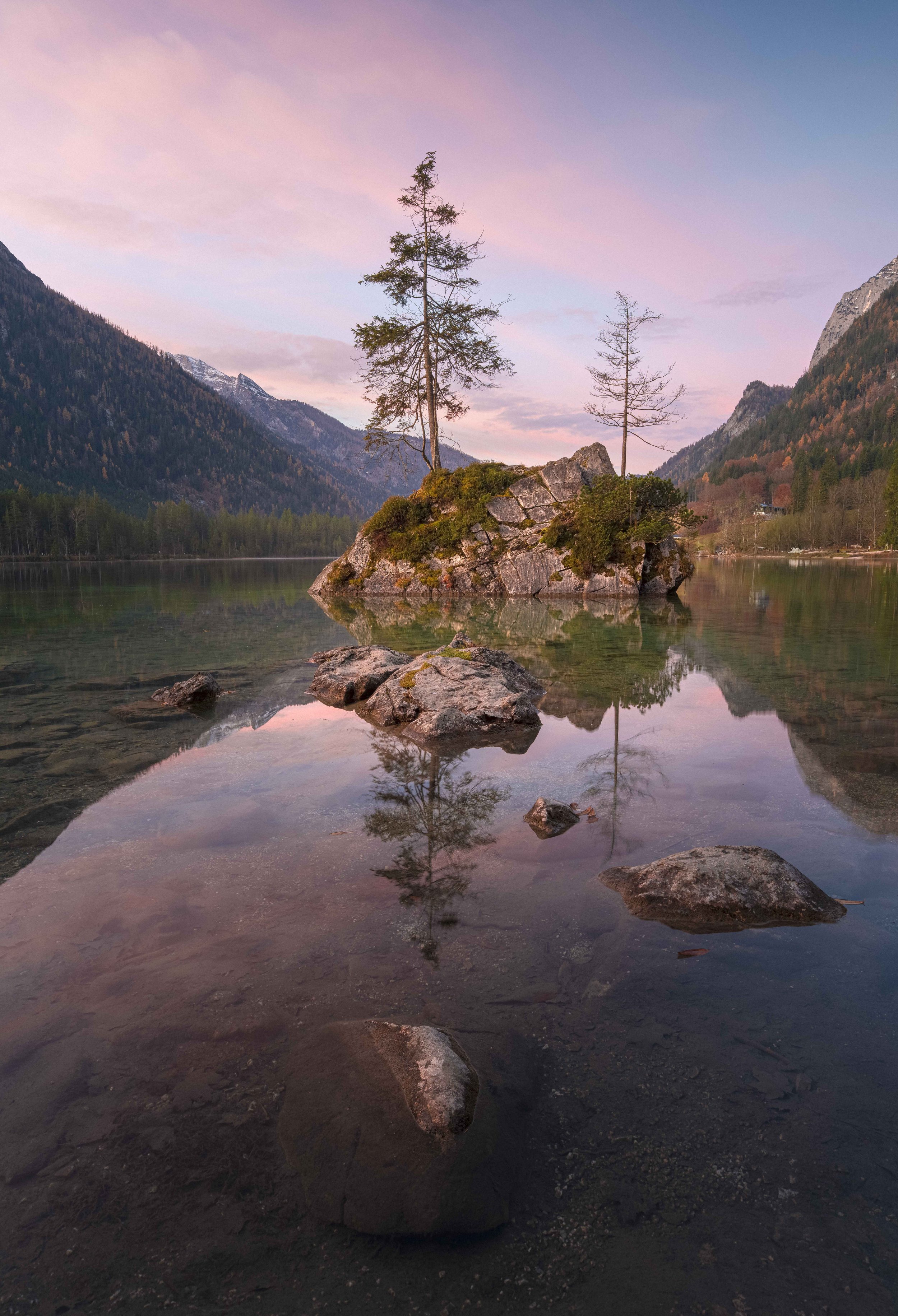_DSC3731-Edit.jpg
