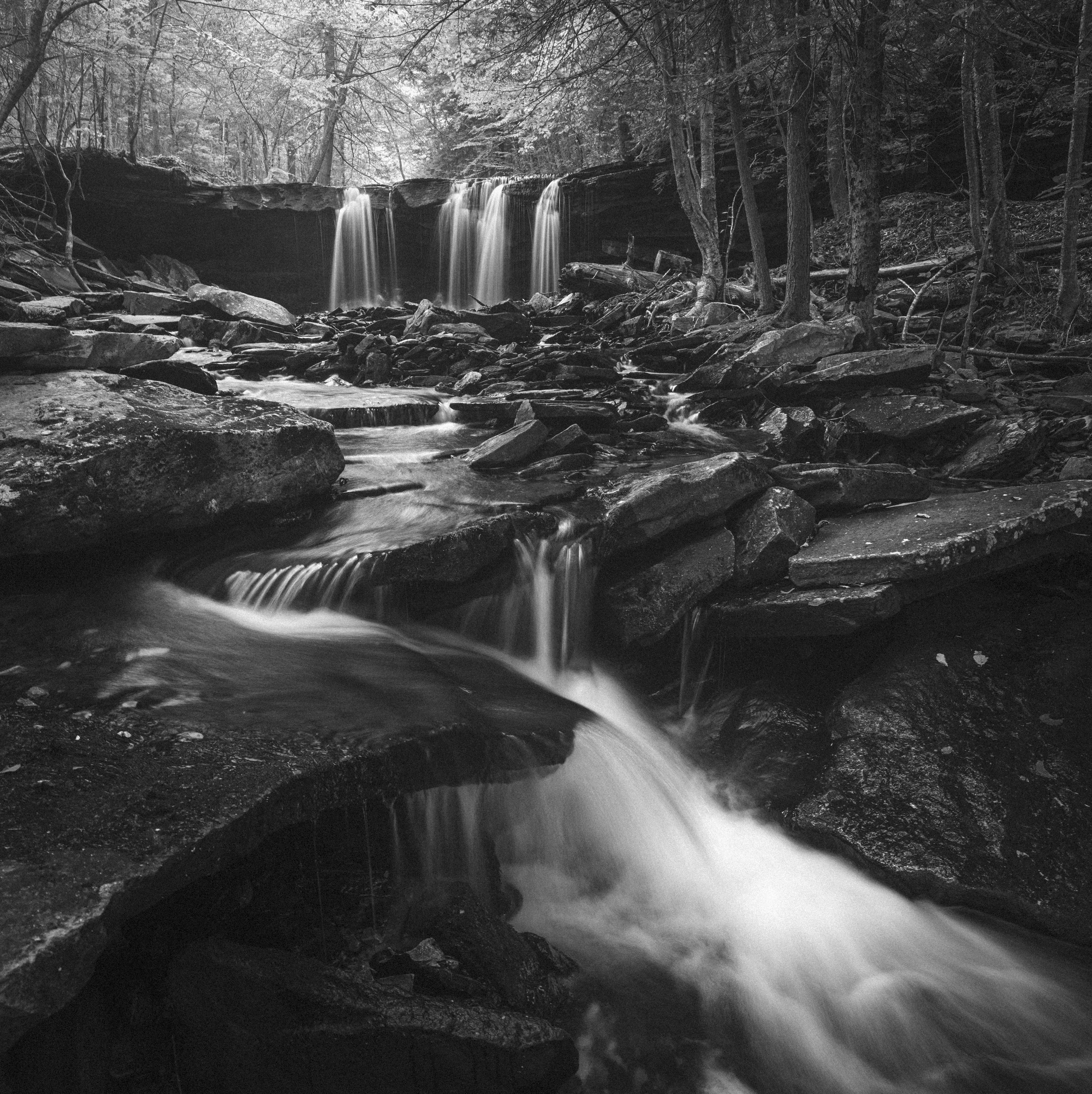 _DSC8363-Edit.jpg