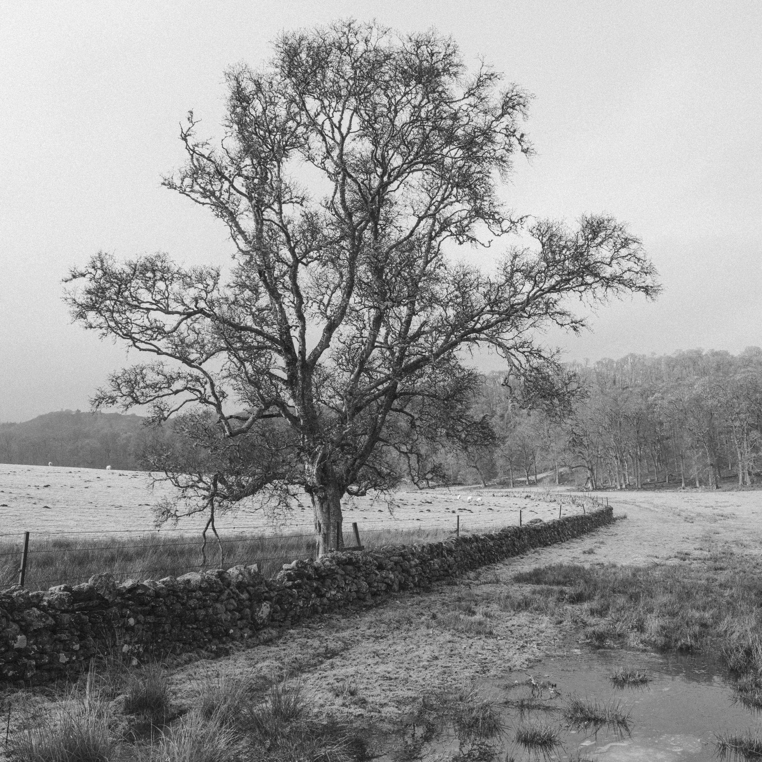 _DSC1998.jpg