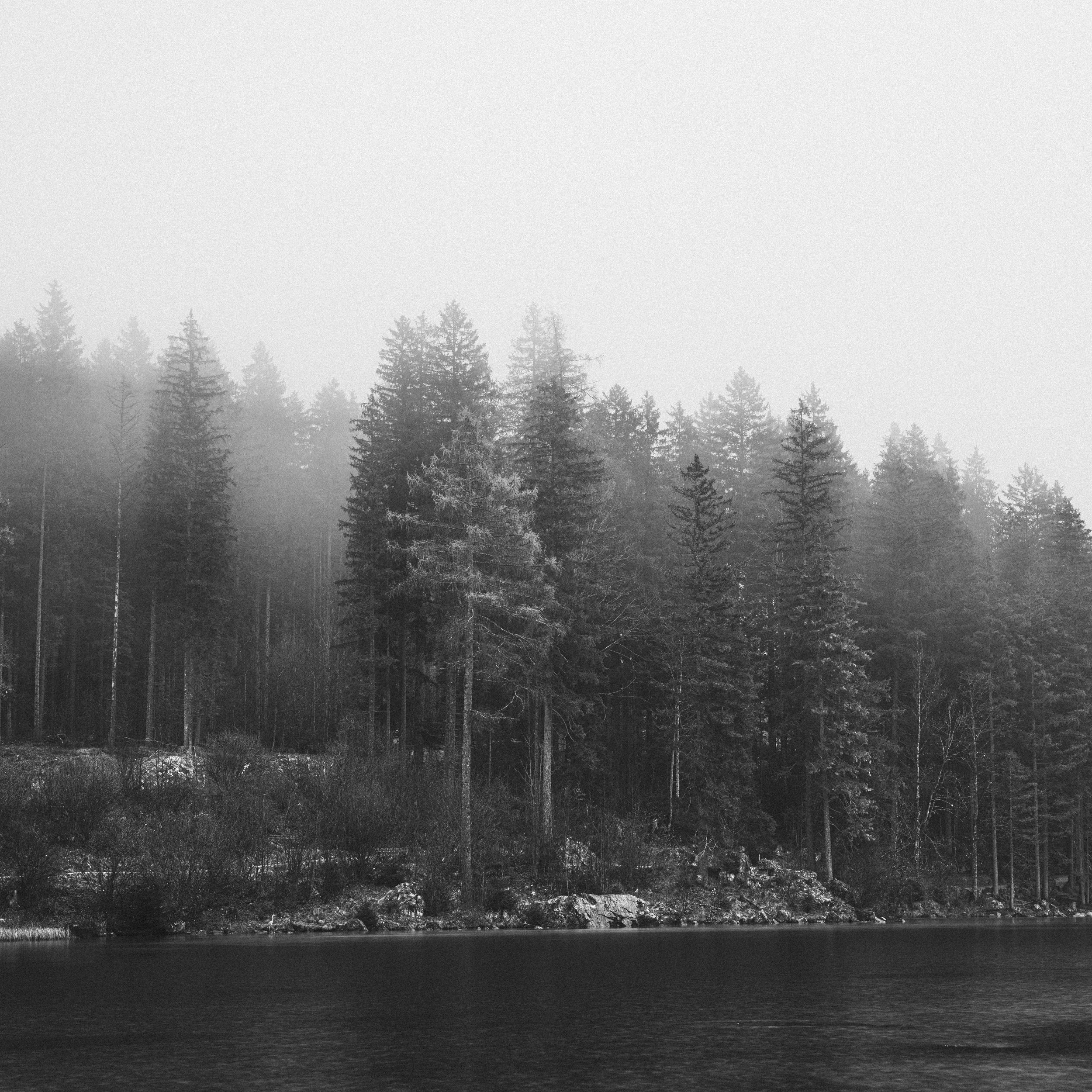 _DSC3782.jpg