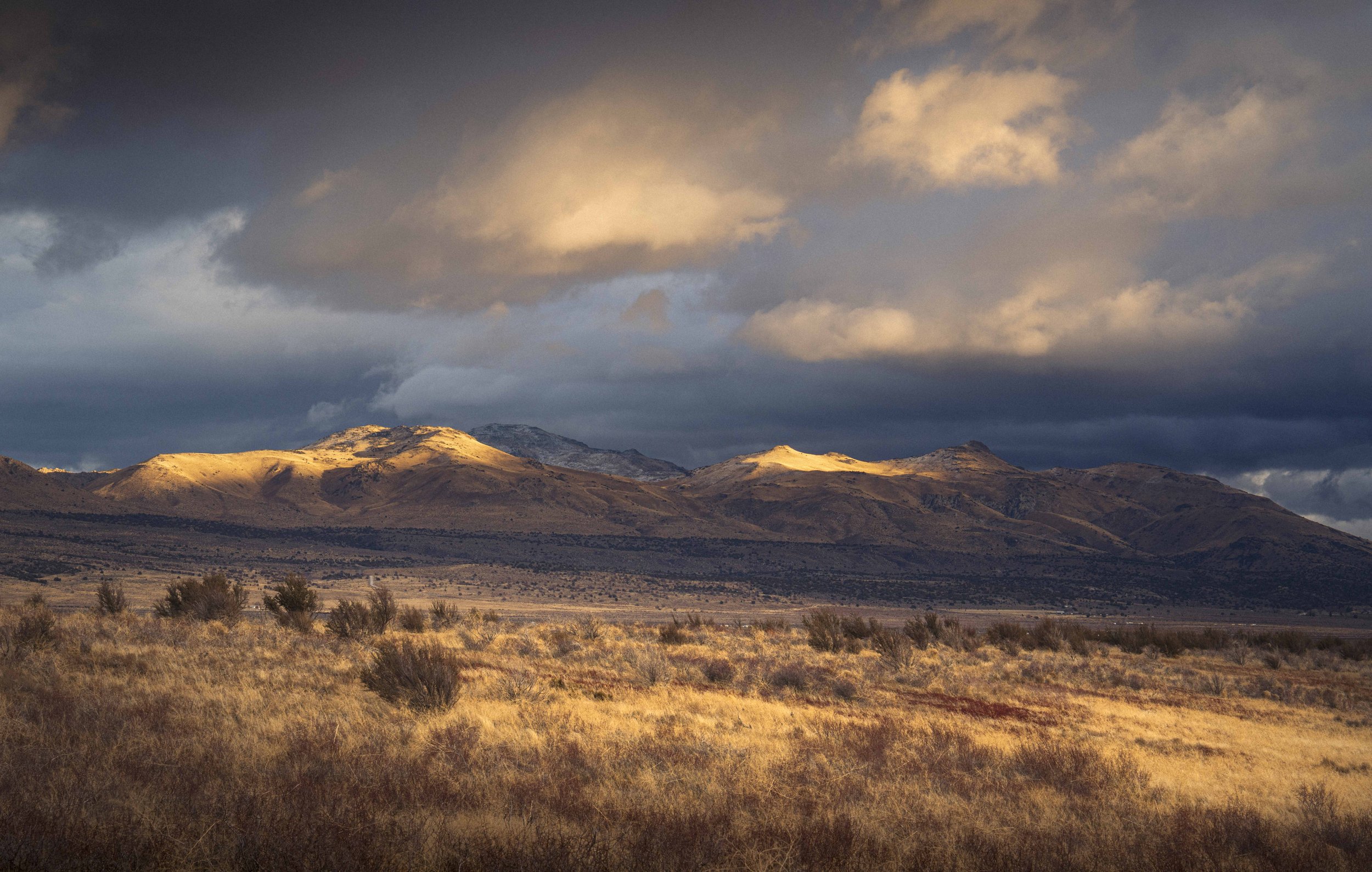_DSC2062.jpg