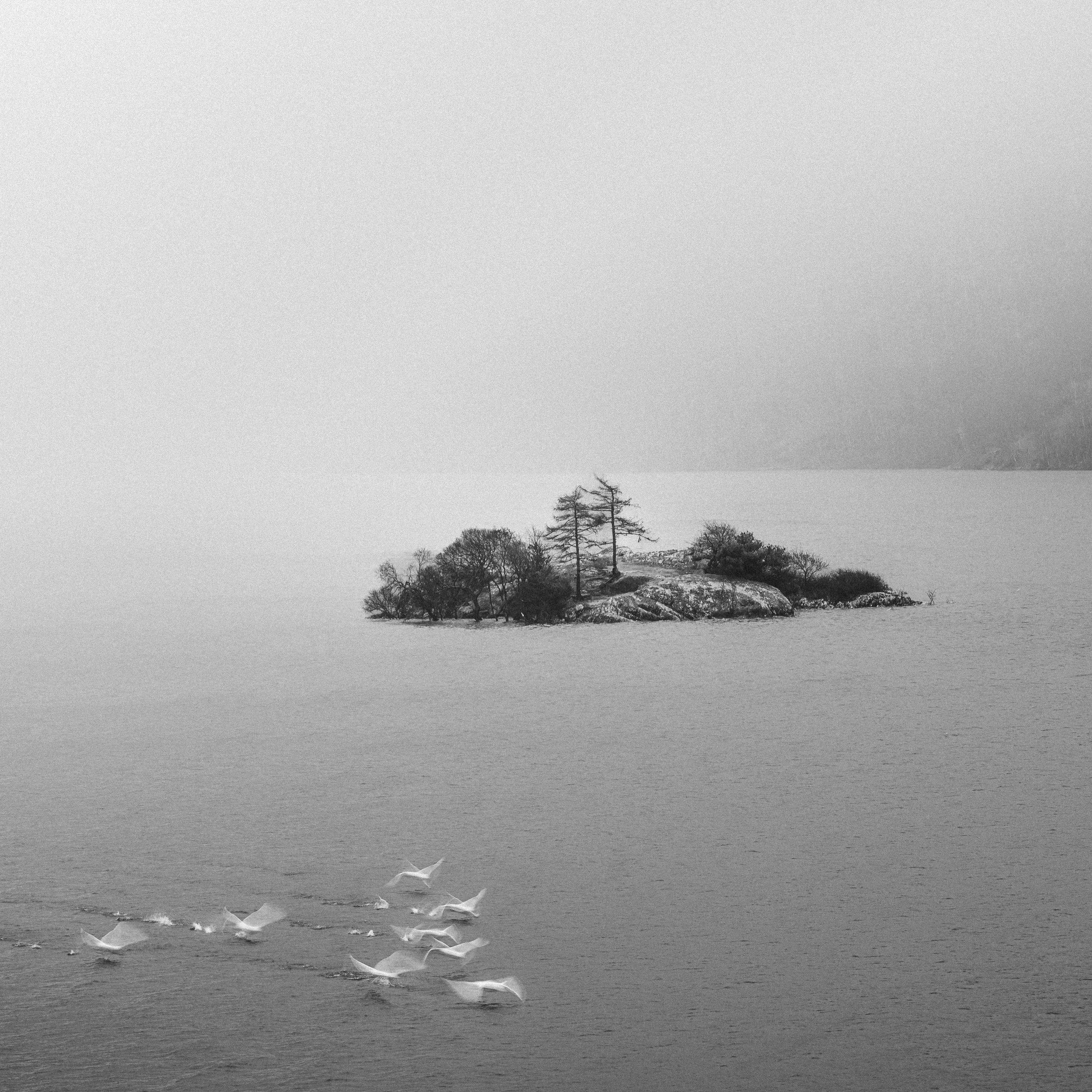 _DSC8228.jpg