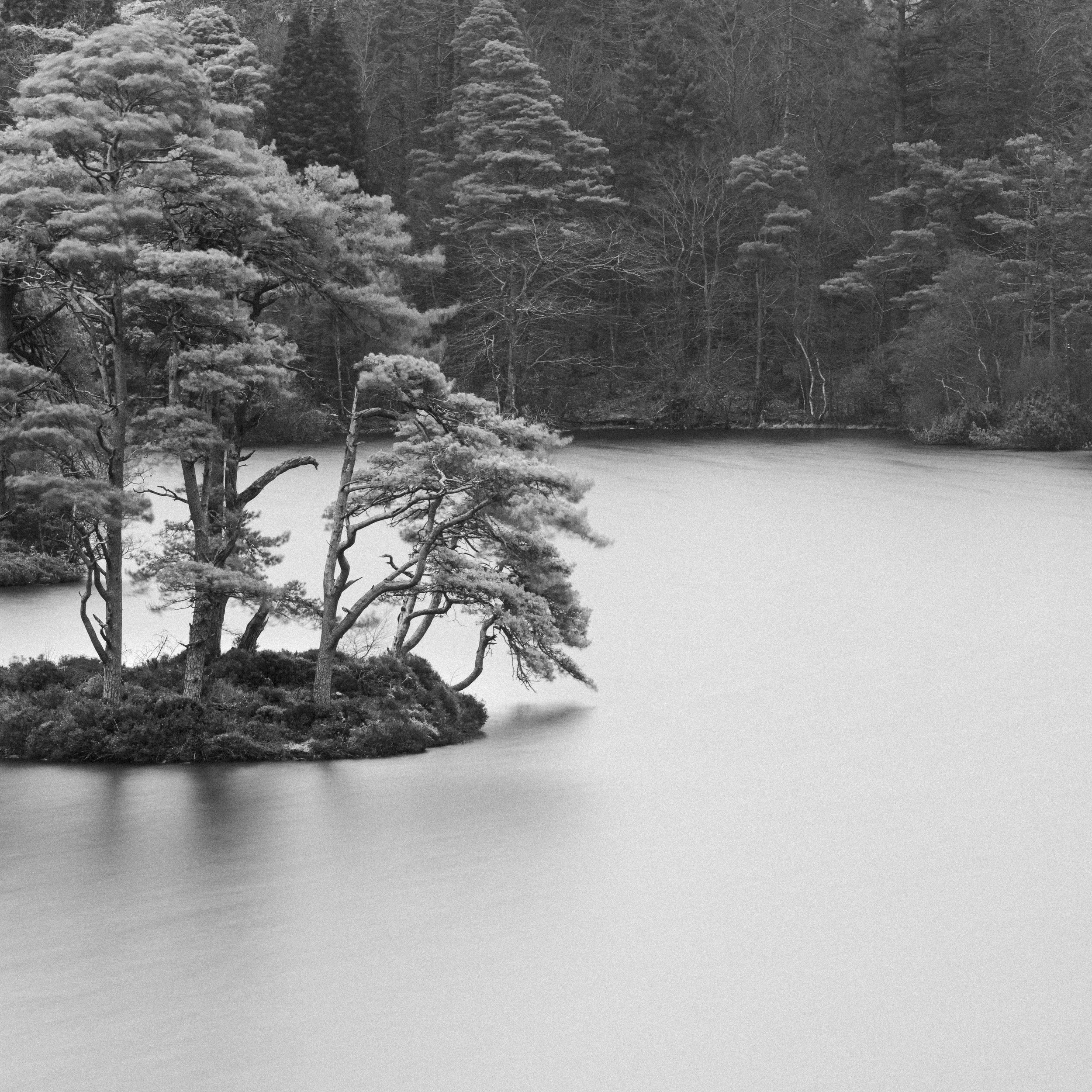 _DSC7212.jpg