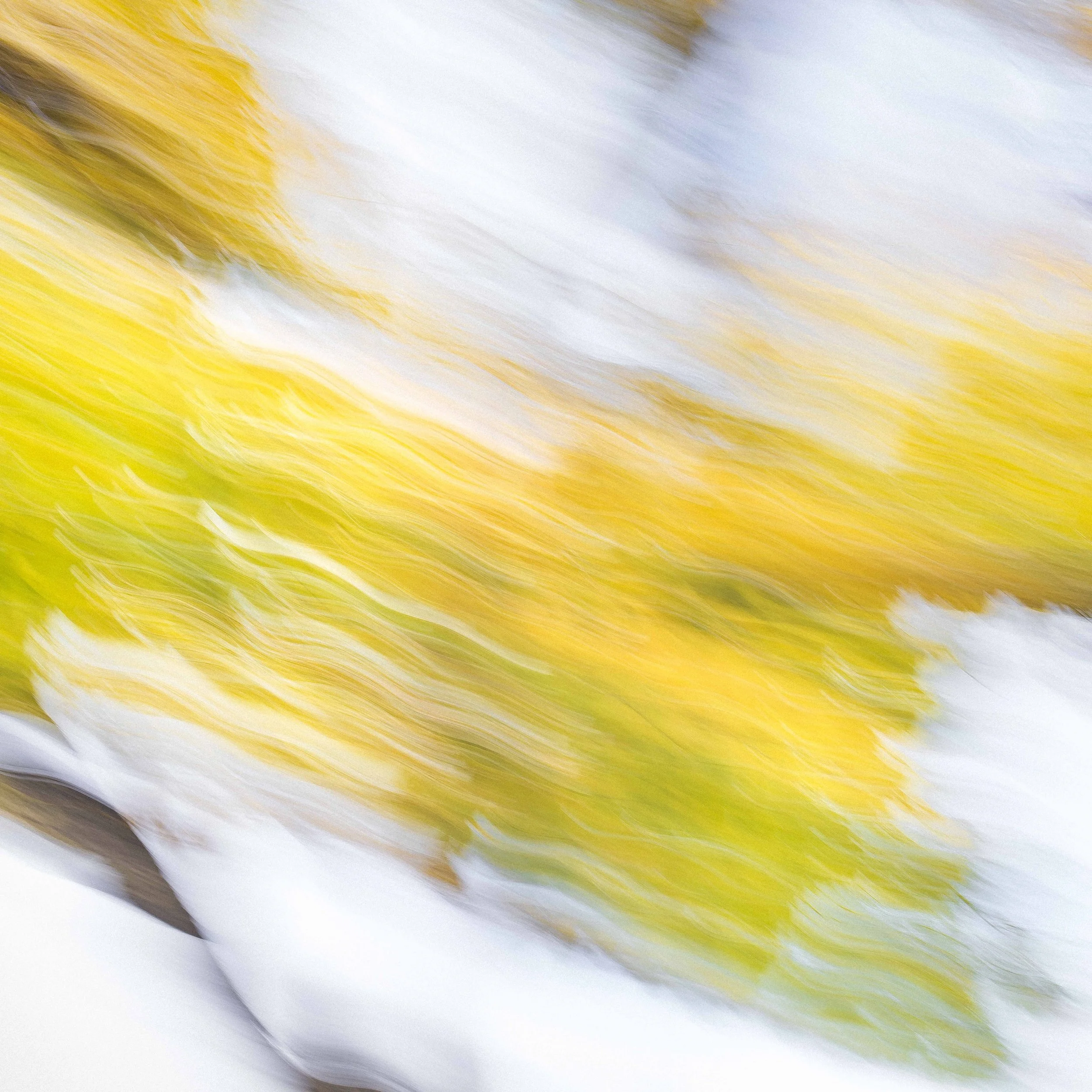 _DSC8137.jpg