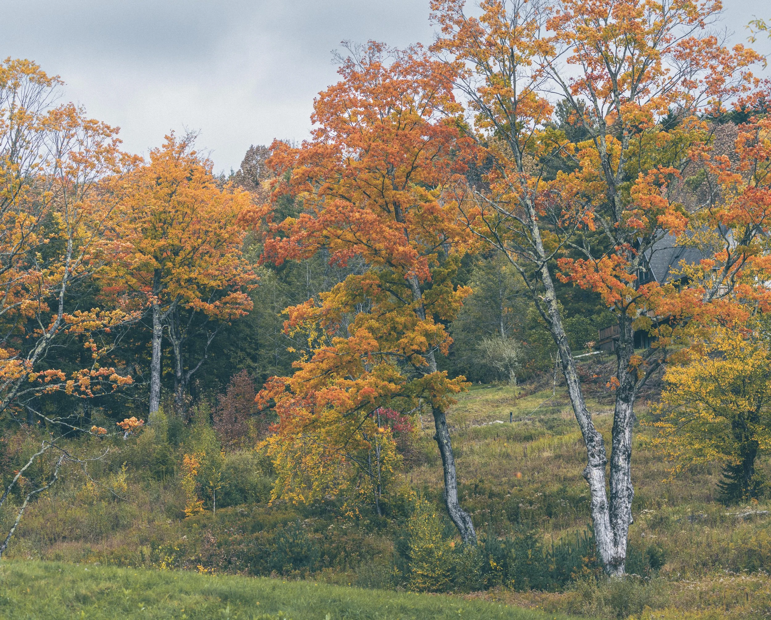 _DSC5849.jpg