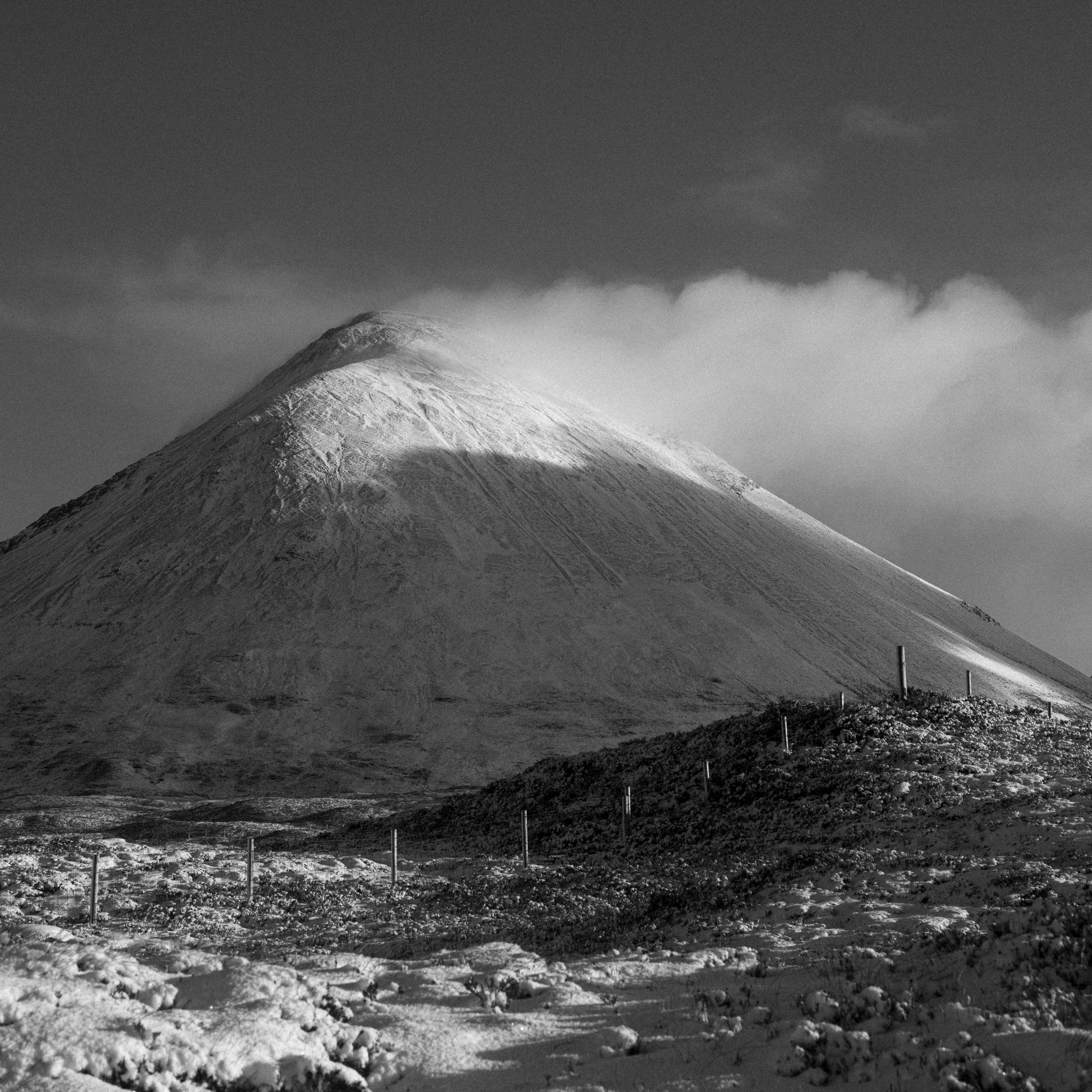 _DSC0114.jpg