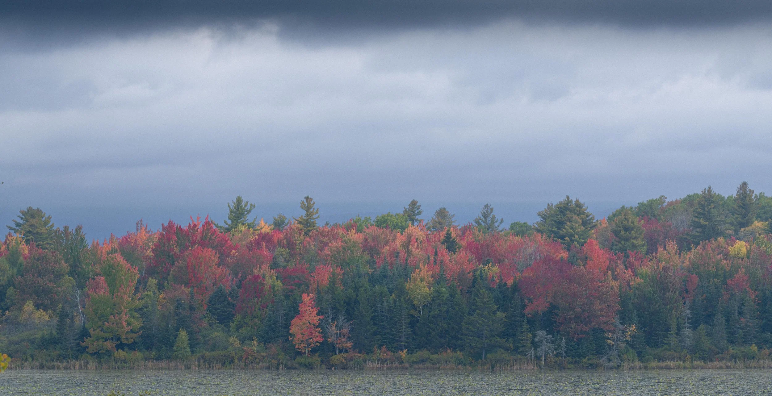 _DSC5866.jpg