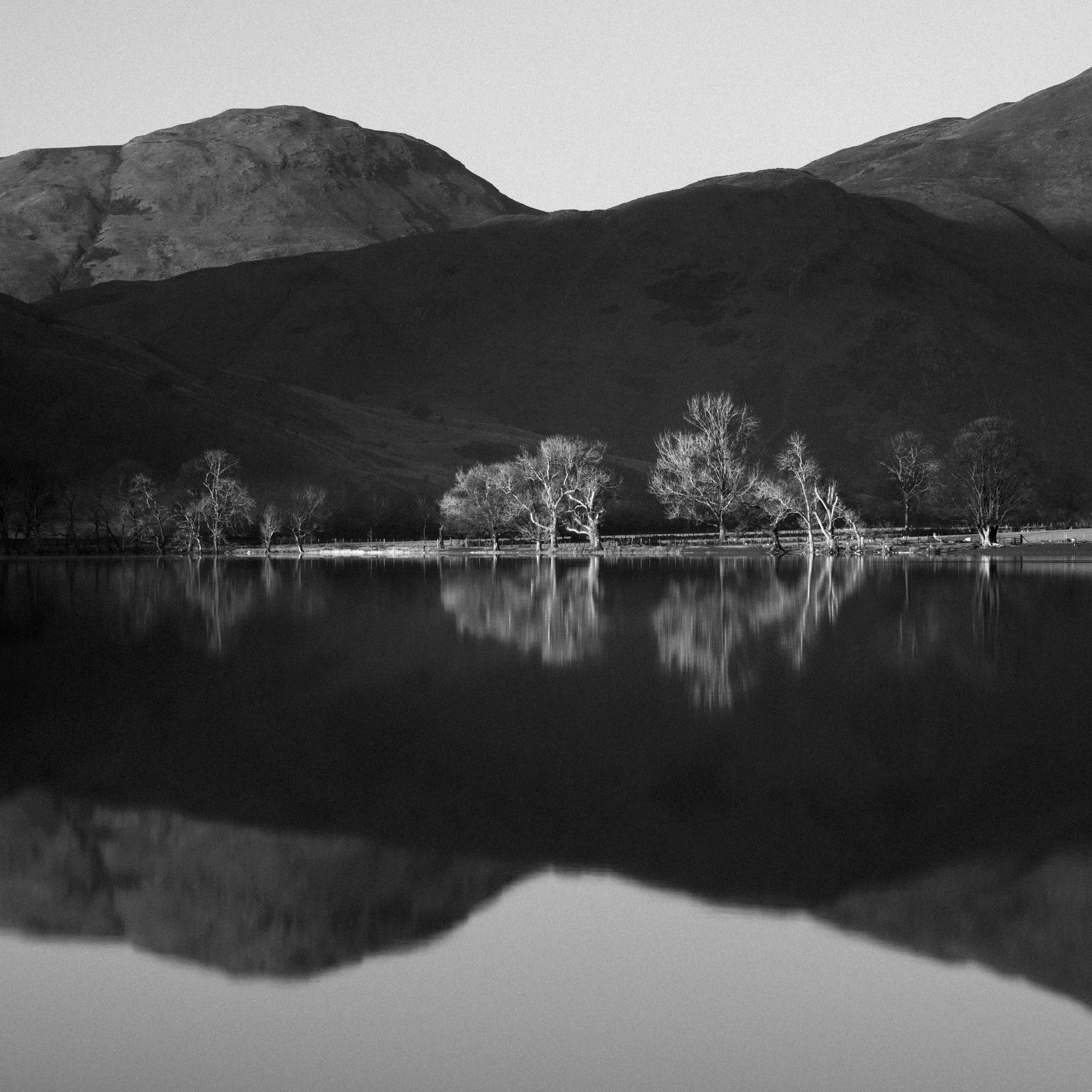 _DSC7575.jpg