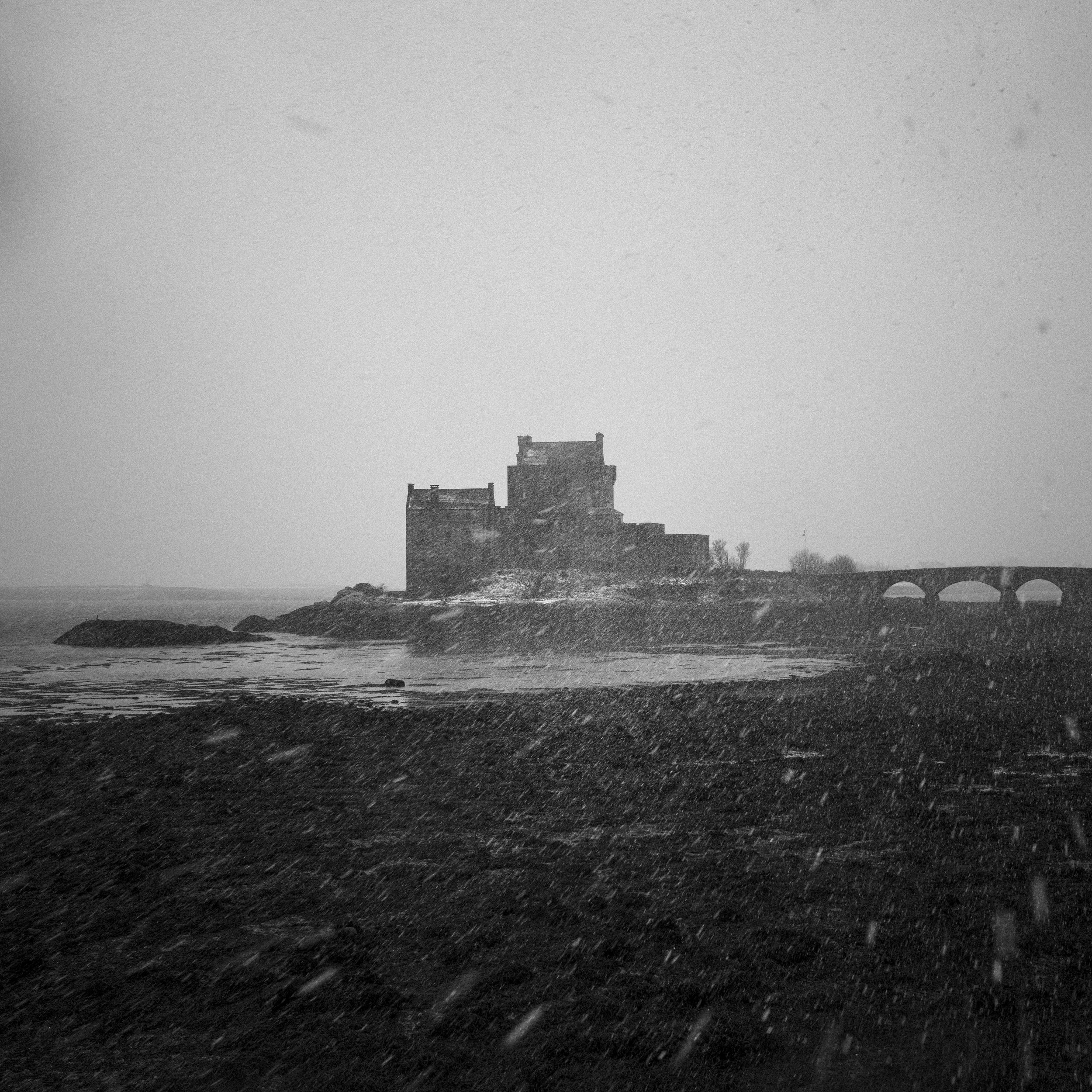 _DSC9599.jpg