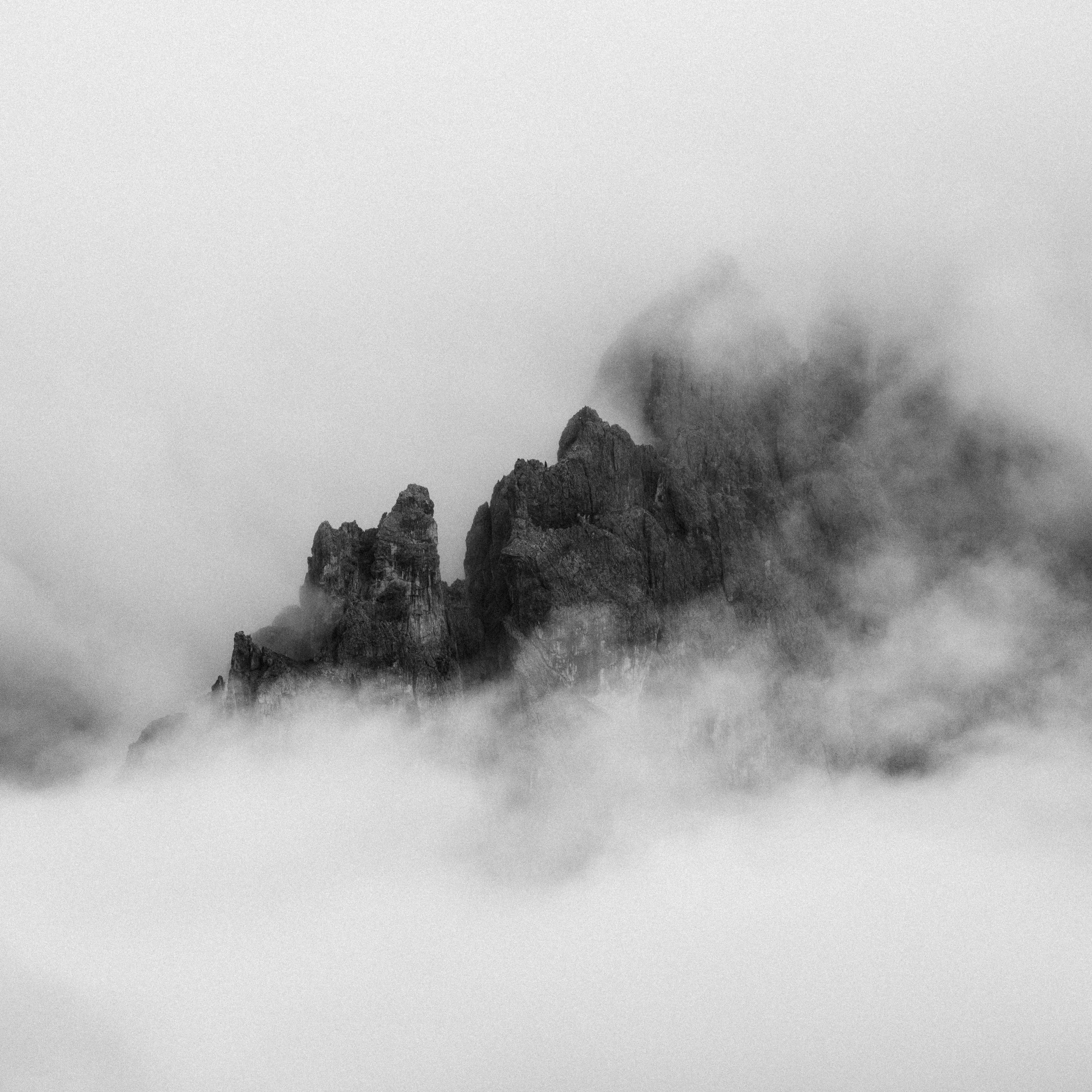 _DSC0895.jpg