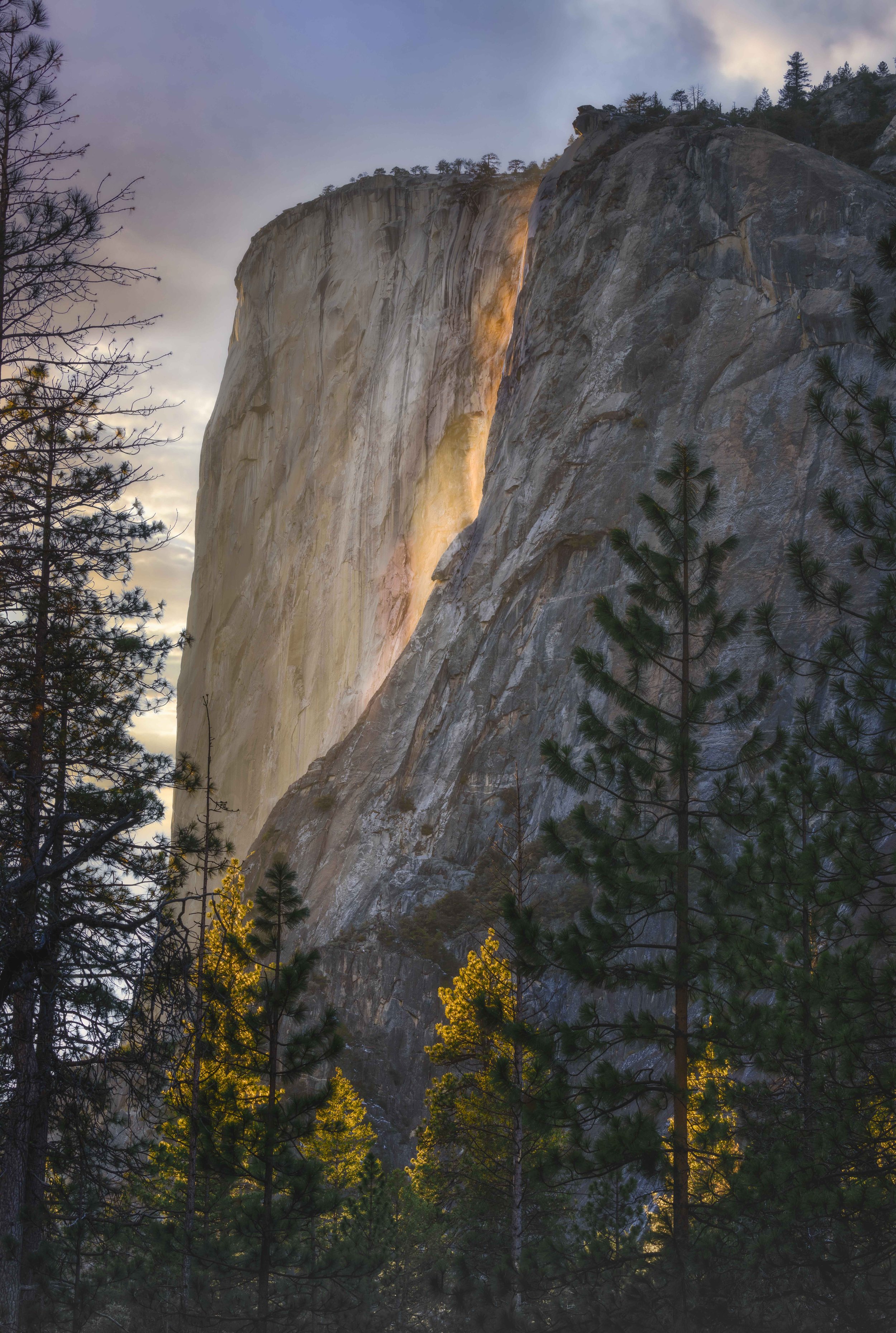 _DSC1329-Edit-Edit.jpg