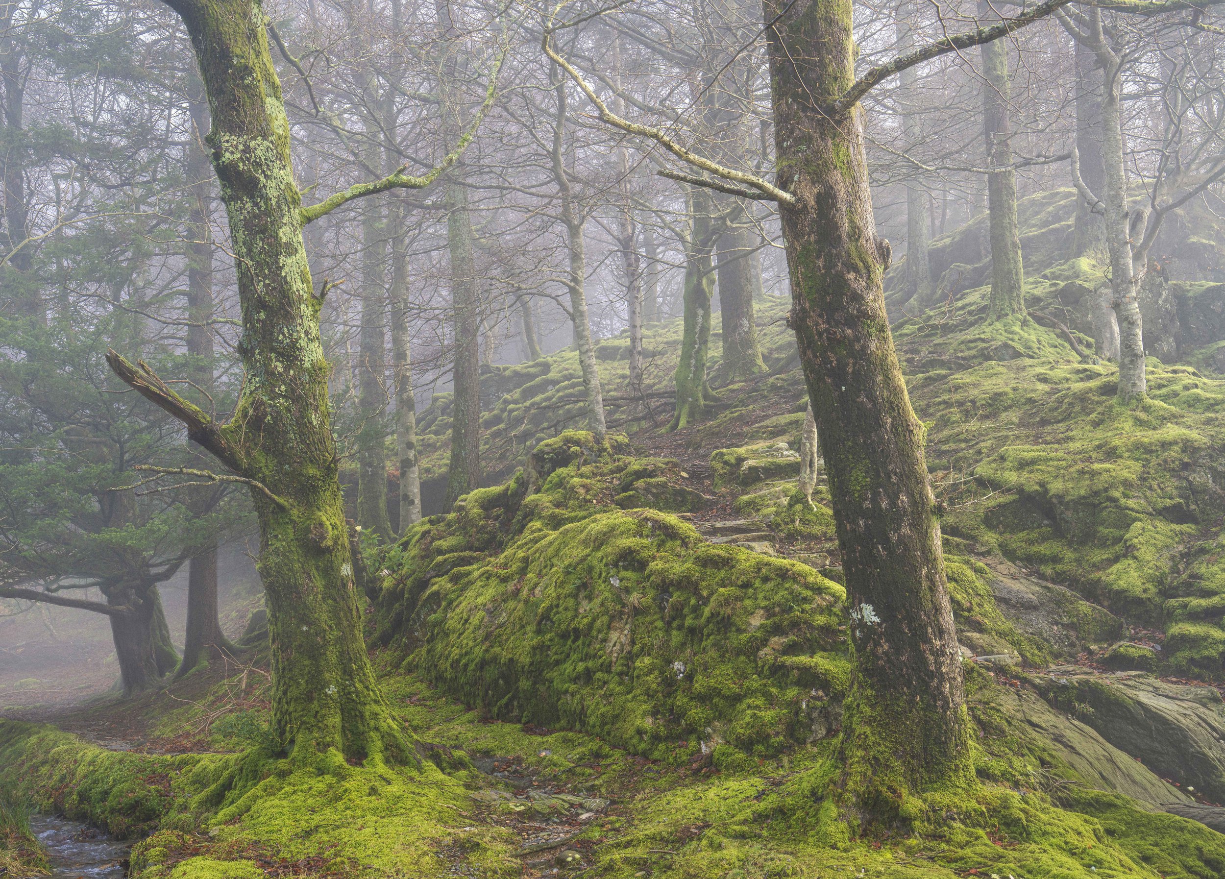 _DSC7664.jpg