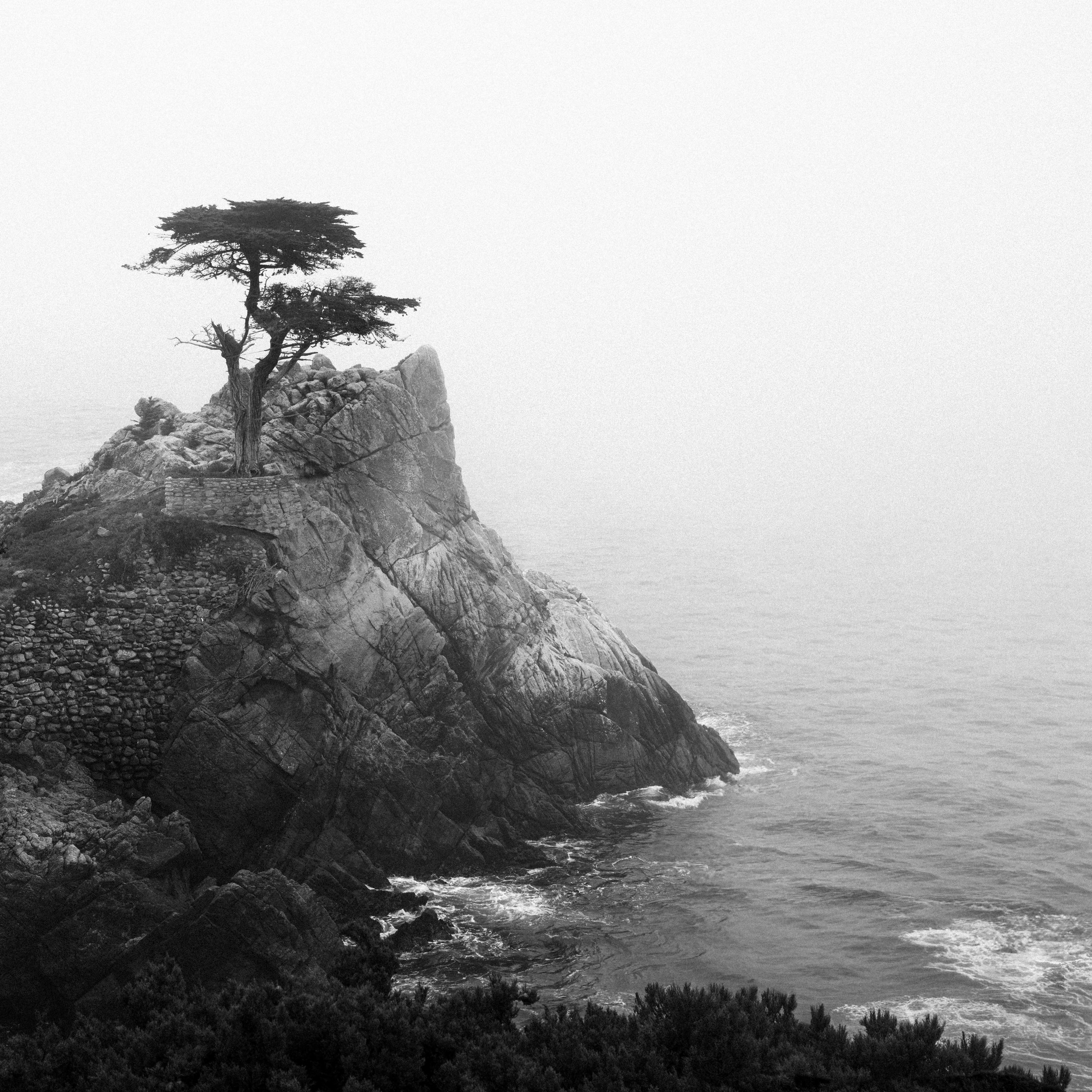 _DSC2068.jpg