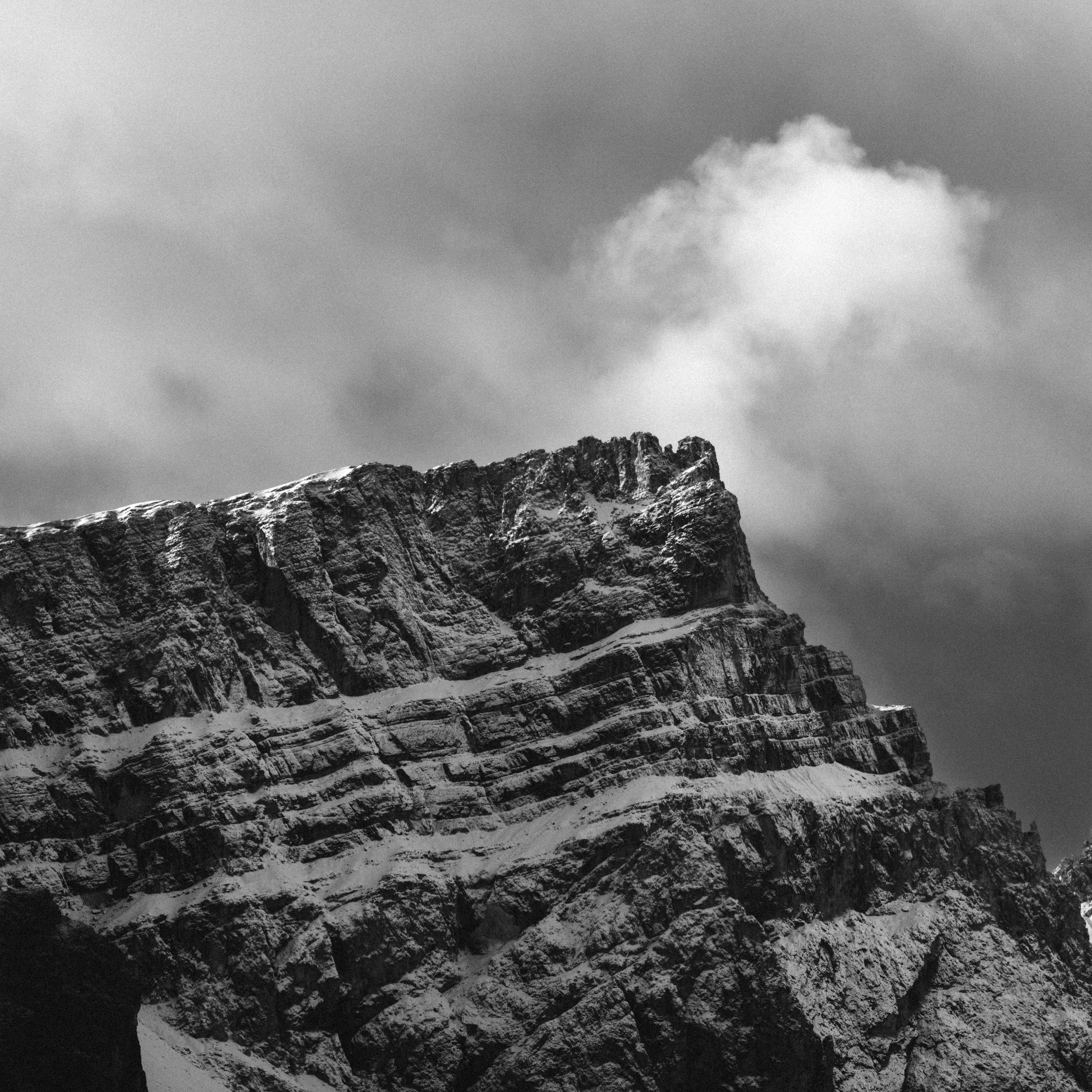 _DSC1265.jpg
