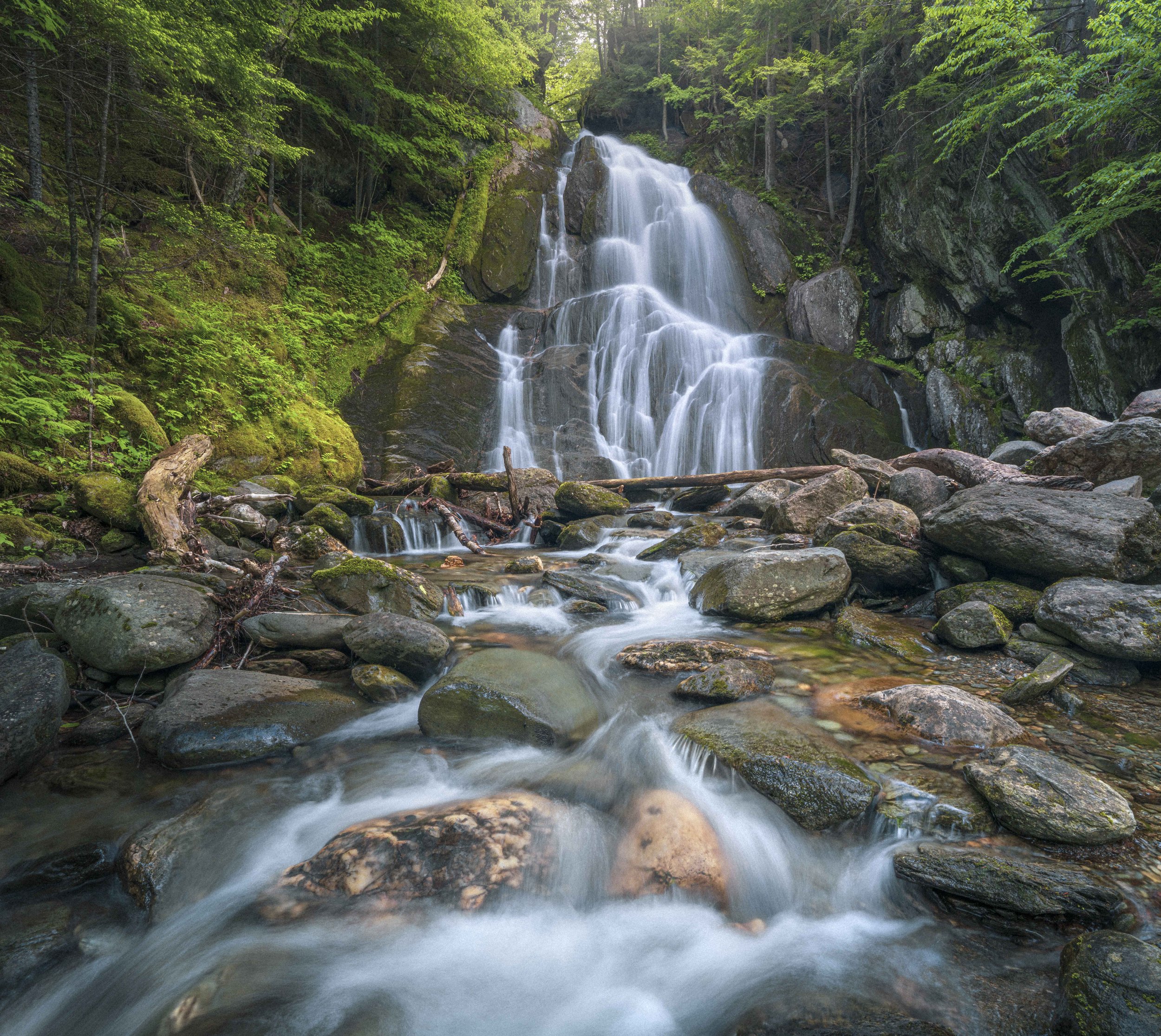 _DSC5786-Edit-2.jpg