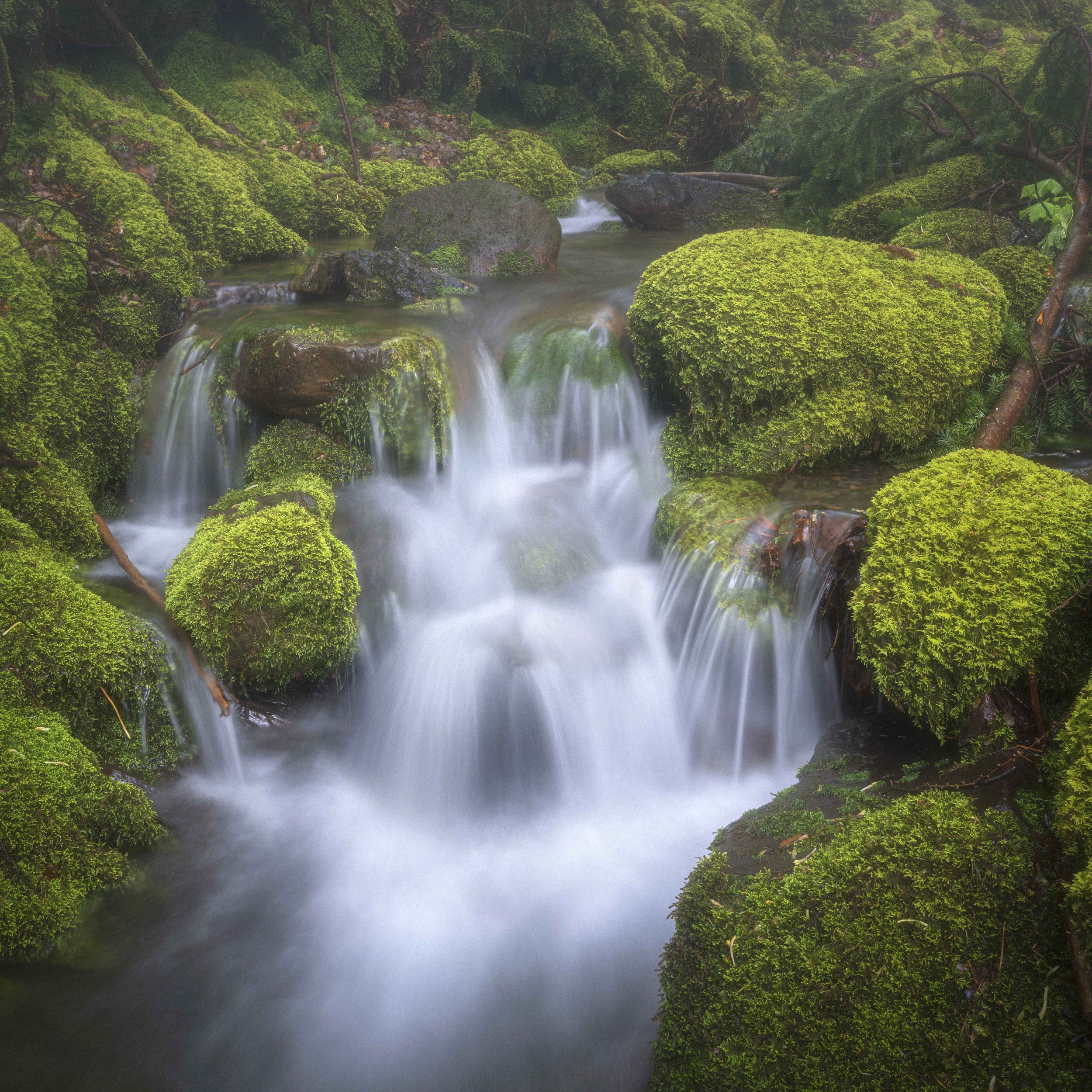 _DSC1920-Edit-2.jpg