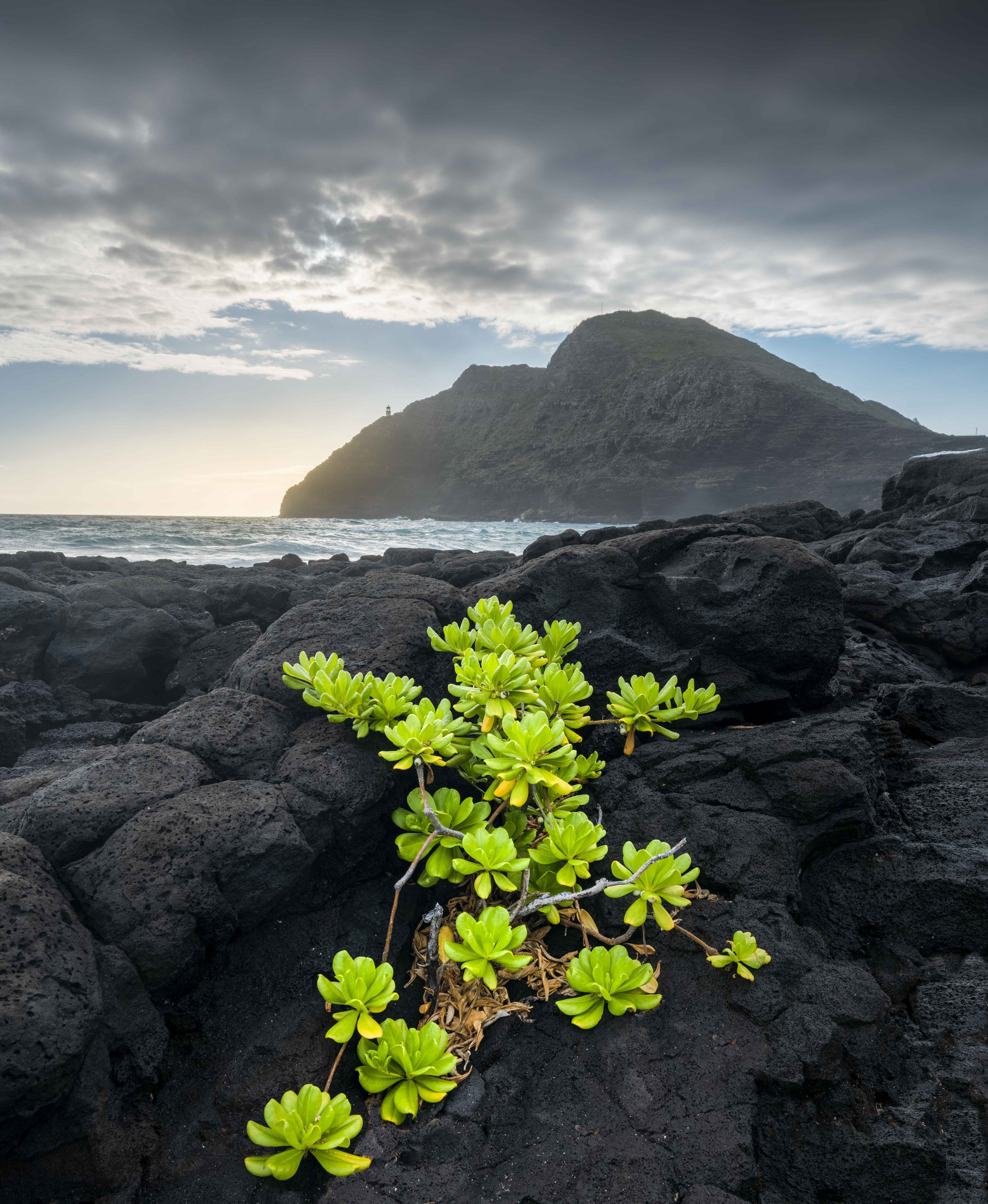 _DSC0381-HDR-Edit-2-Edit.jpg