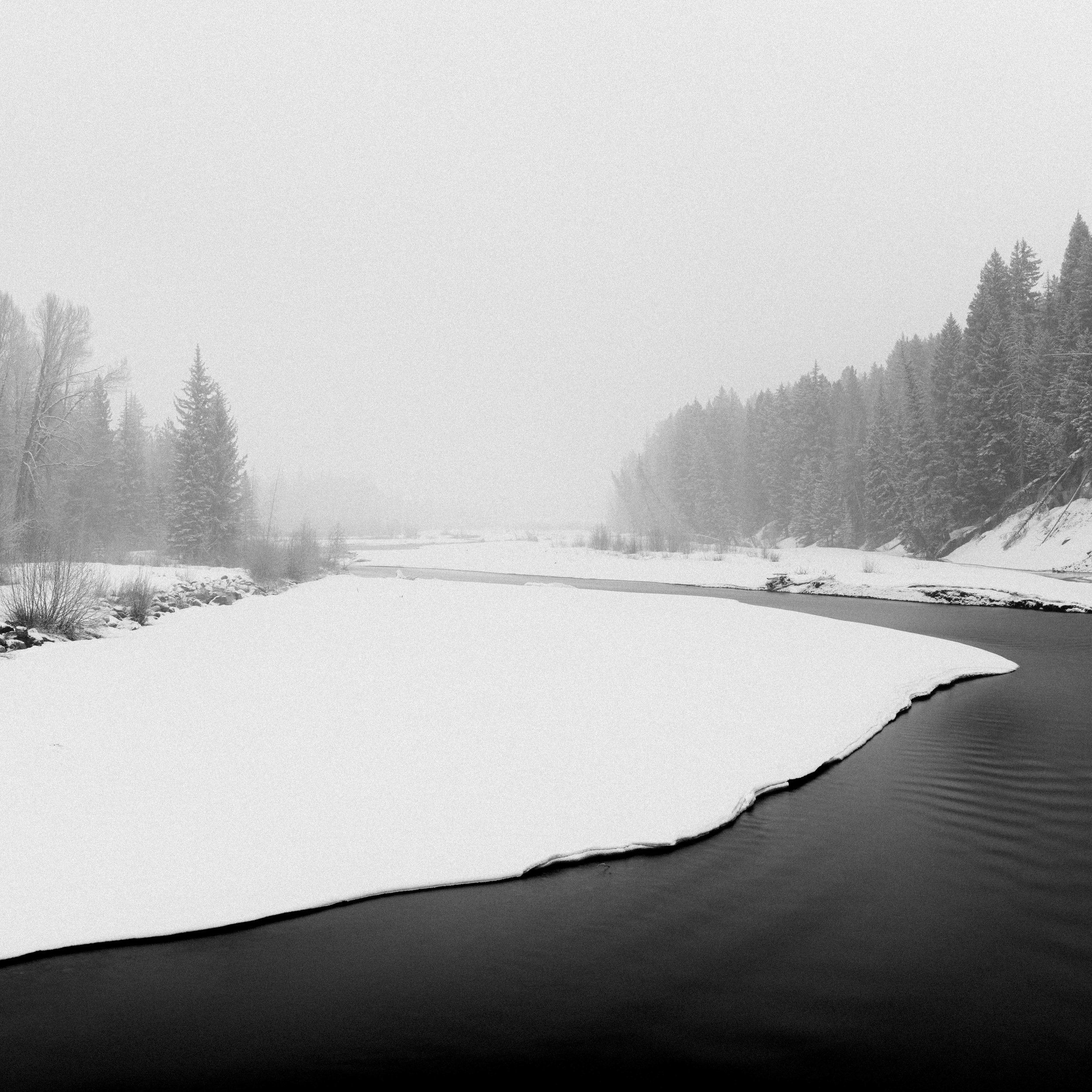 _DSC5410.jpg