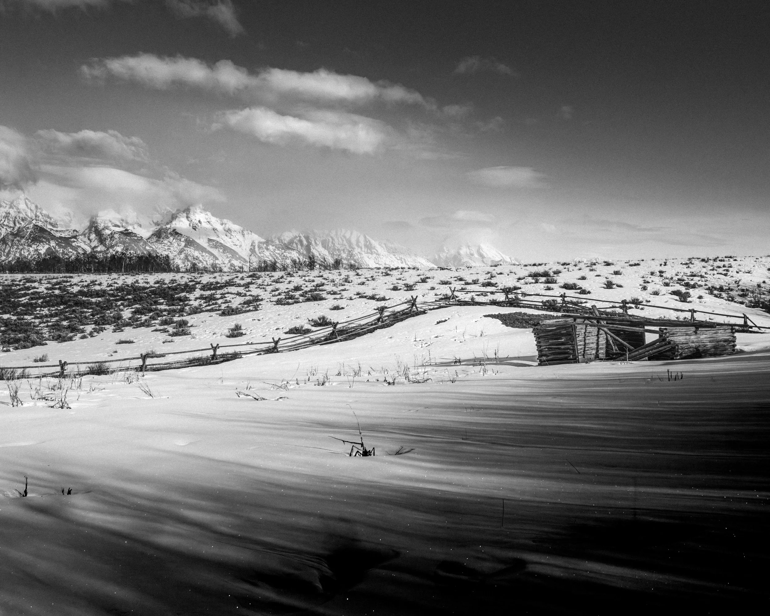 _DSC2698-Enhanced-NR-Edit.jpg